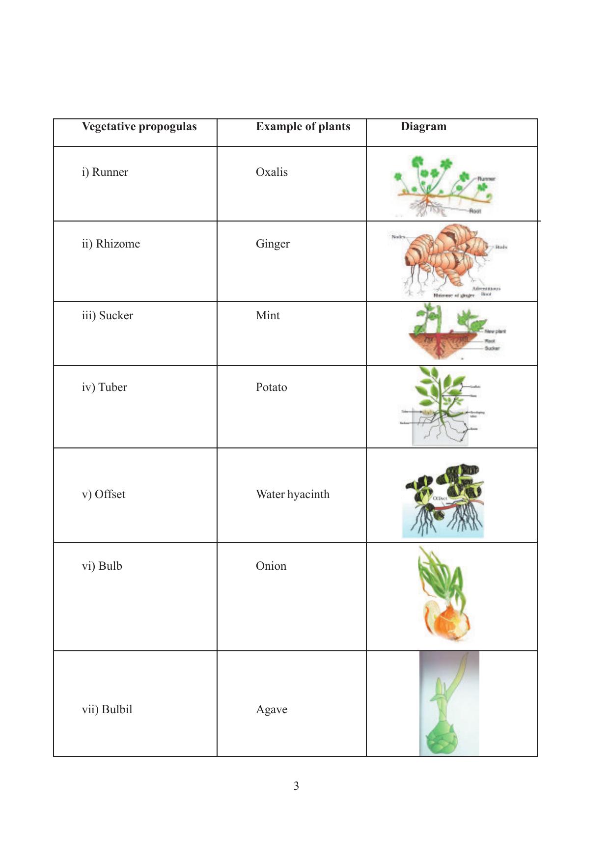 Tripura Board Class 12 Biology English Workbooks - Page 9