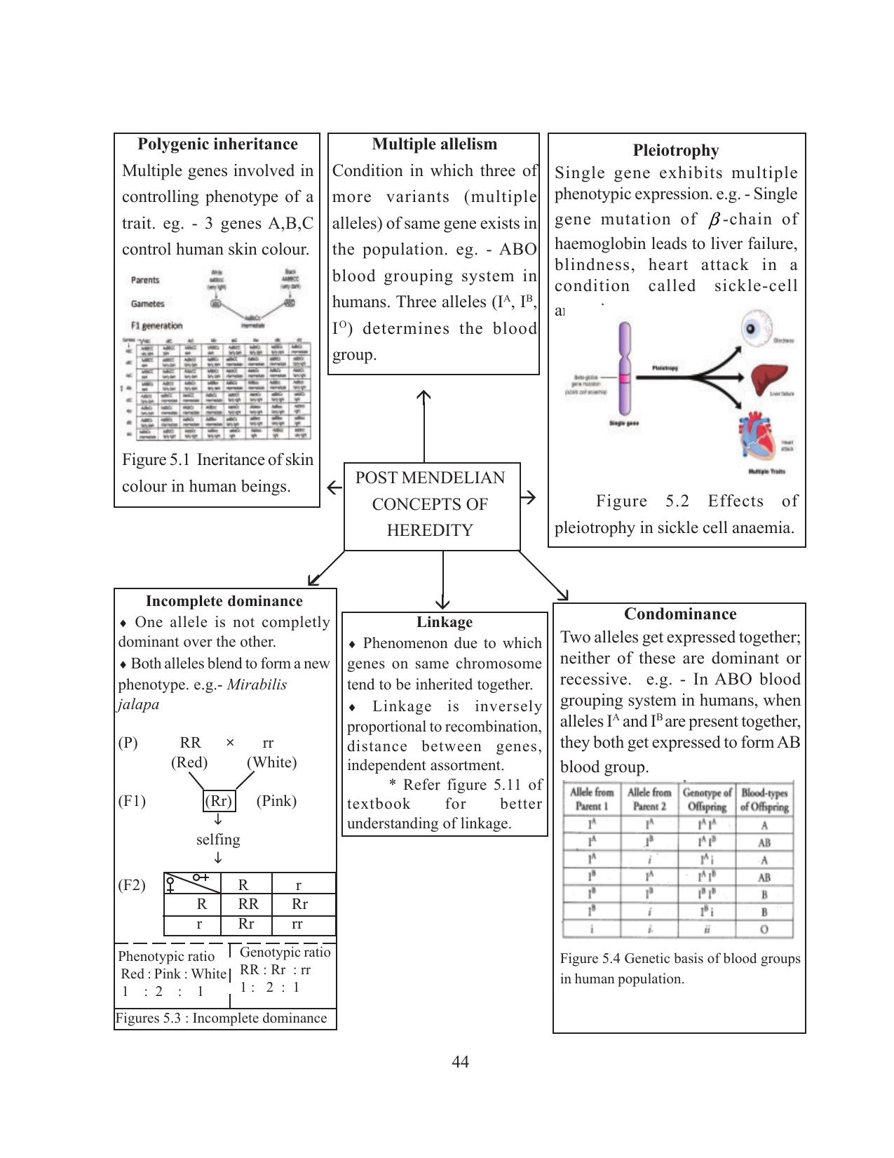 Tripura Board Class 12 Biology English Workbooks - Page 50