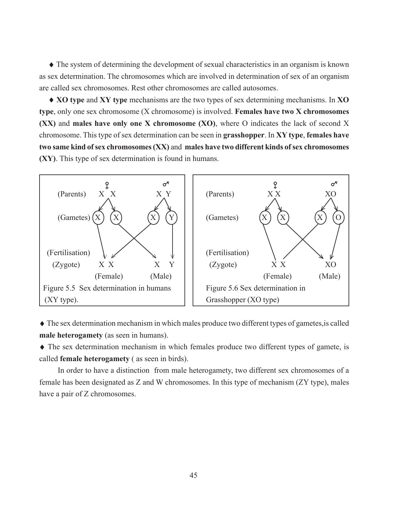Tripura Board Class 12 Biology English Workbooks - Page 51