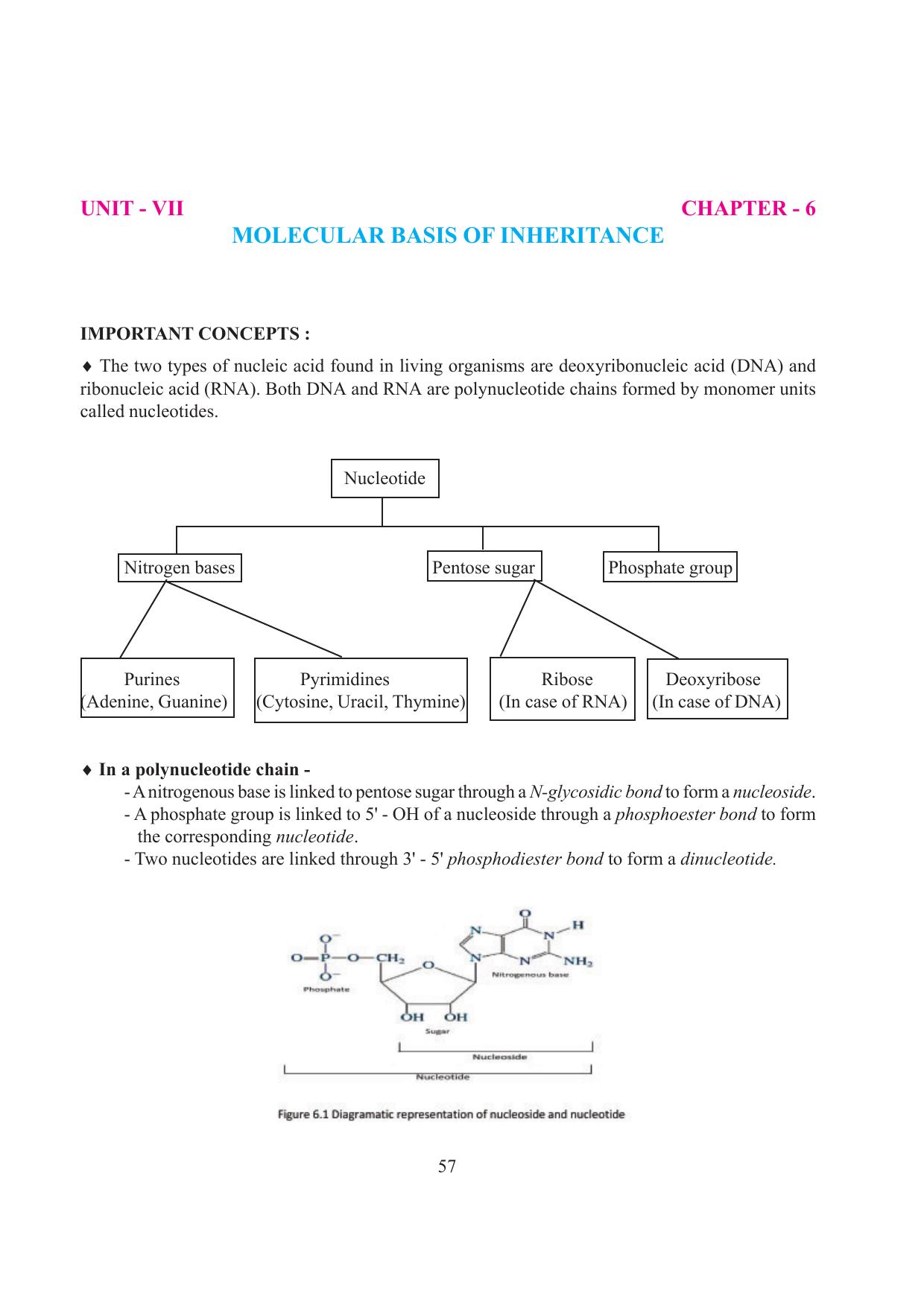 Tripura Board Class 12 Biology English Workbooks - Page 63