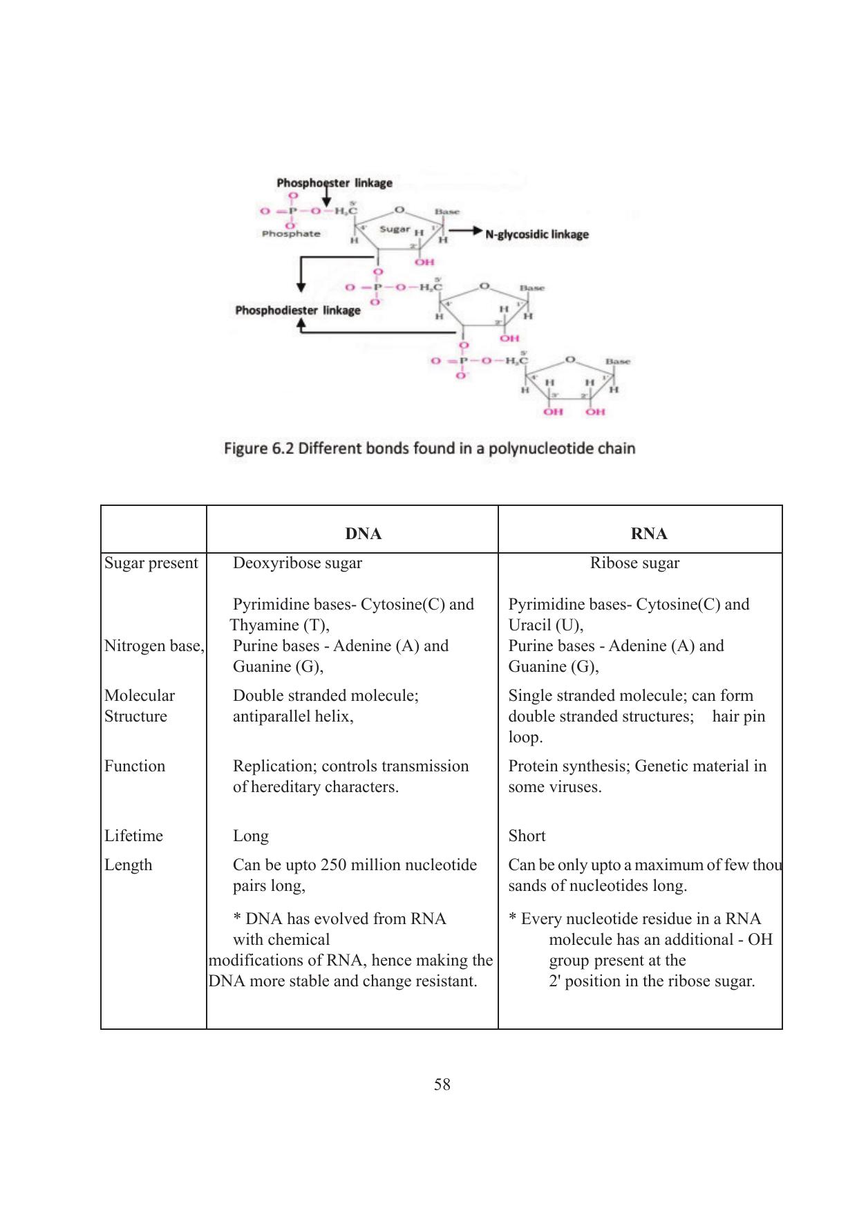 Tripura Board Class 12 Biology English Workbooks - Page 64