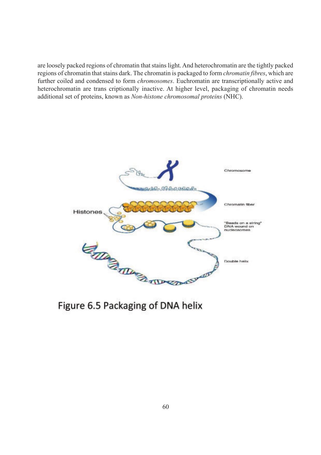 Tripura Board Class 12 Biology English Workbooks - Page 66