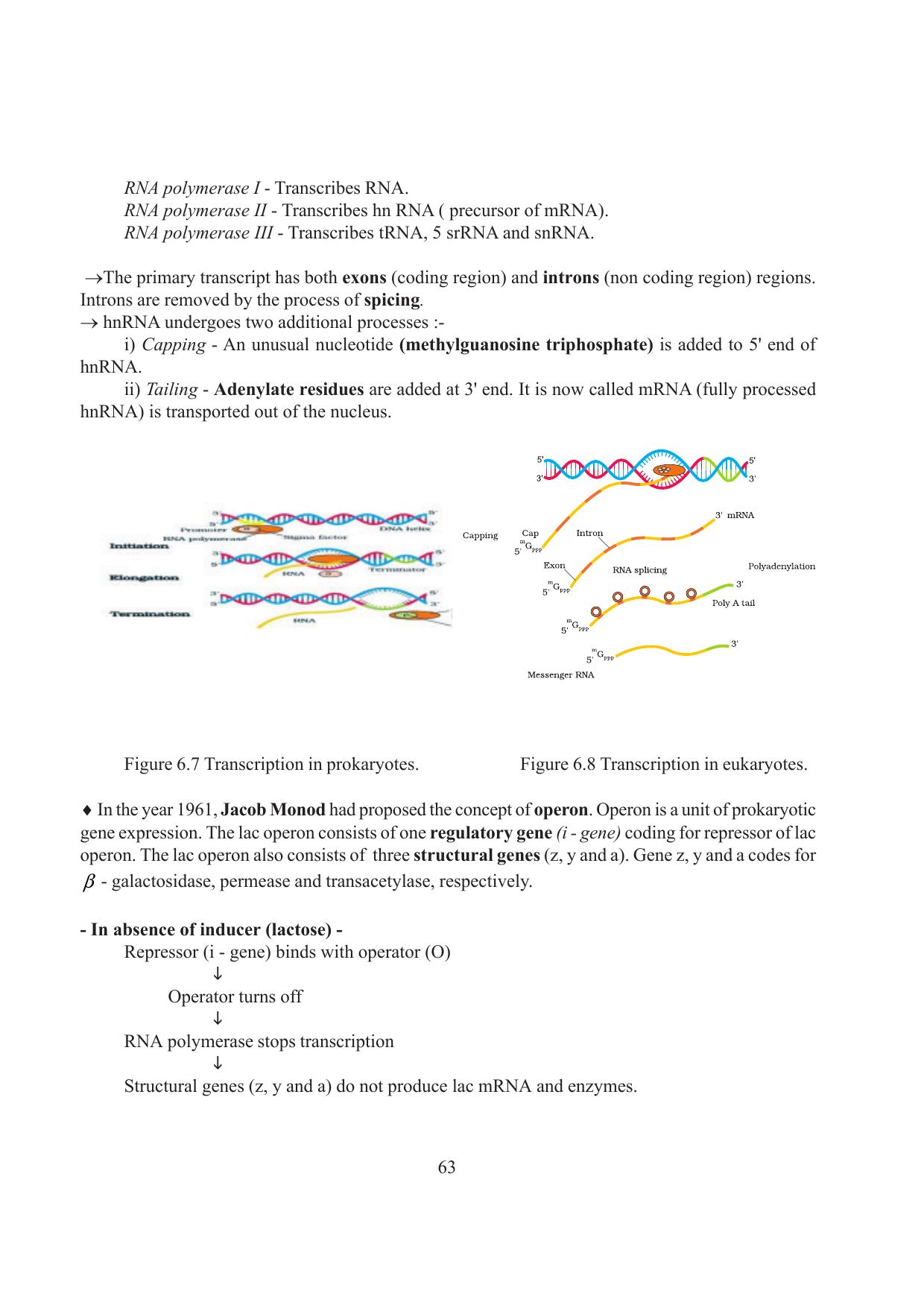 Tripura Board Class 12 Biology English Workbooks - Page 69