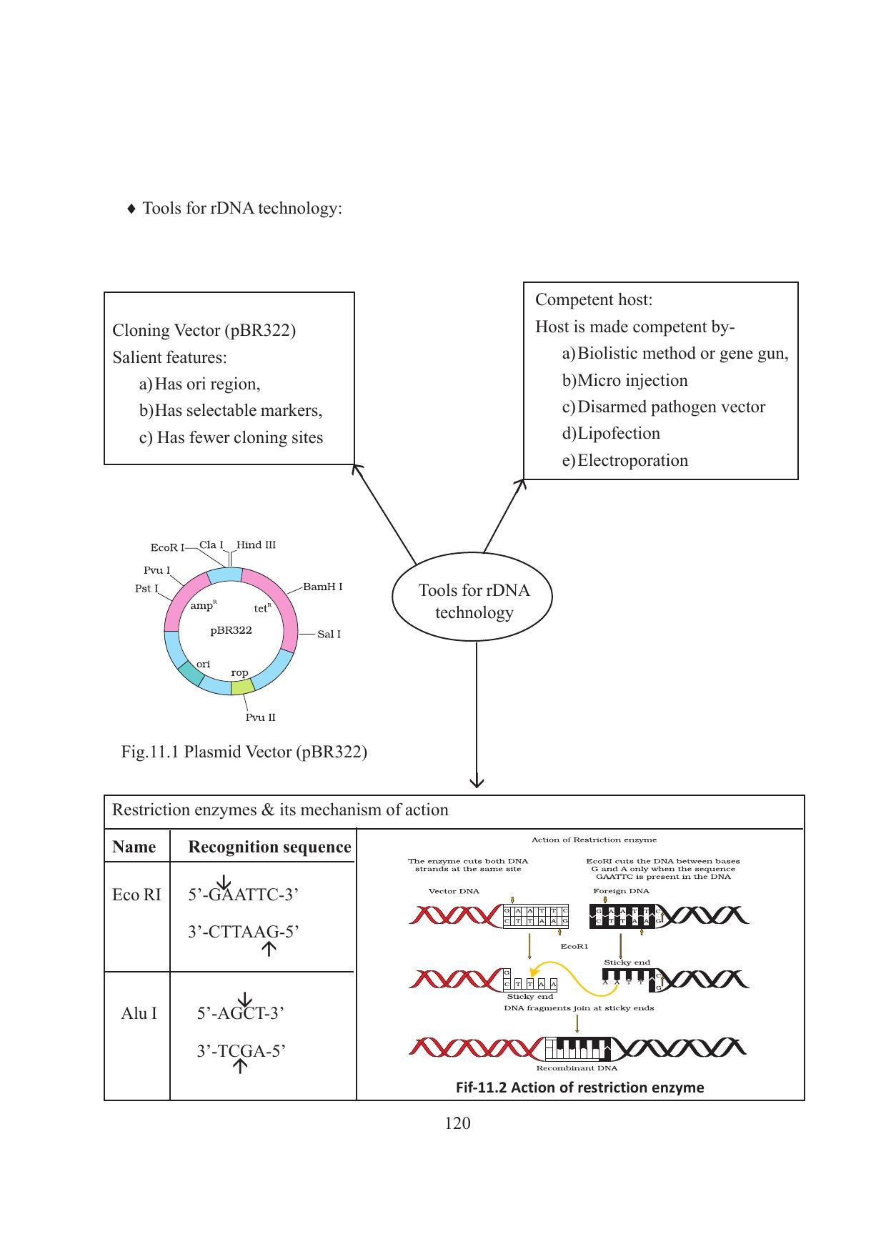 Tripura Board Class 12 Biology English Workbooks - Page 126