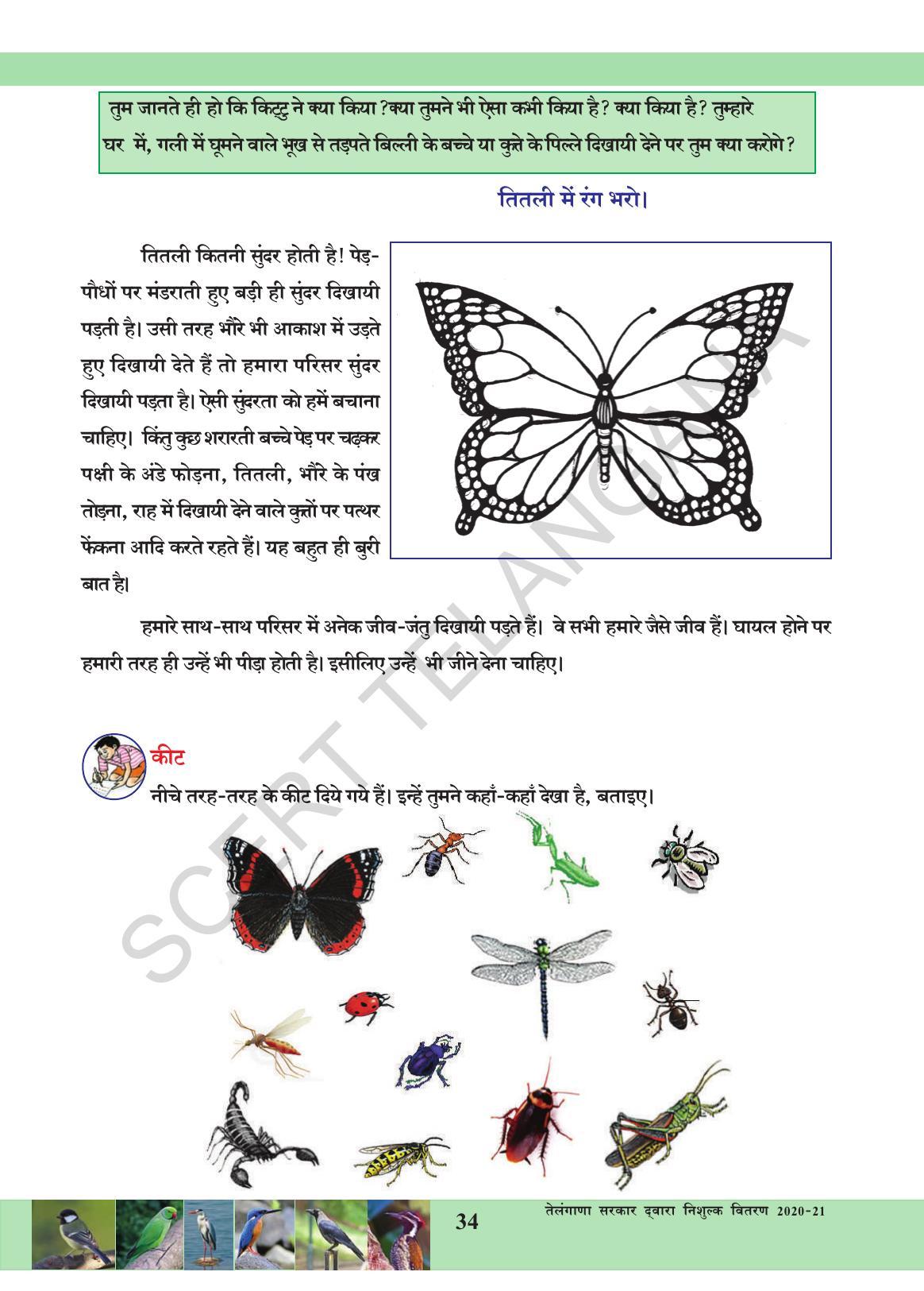 TS SCERT Class 3 Environmental Science (Hindi Medium) Text Book - Page 45