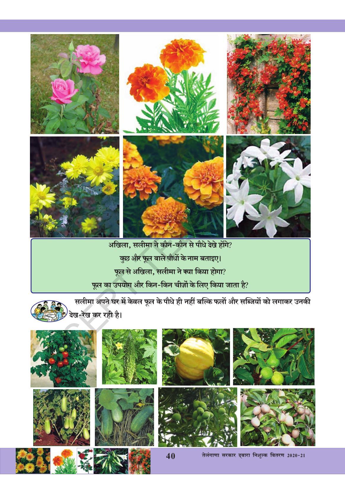 TS SCERT Class 3 Environmental Science (Hindi Medium) Text Book - Page 51