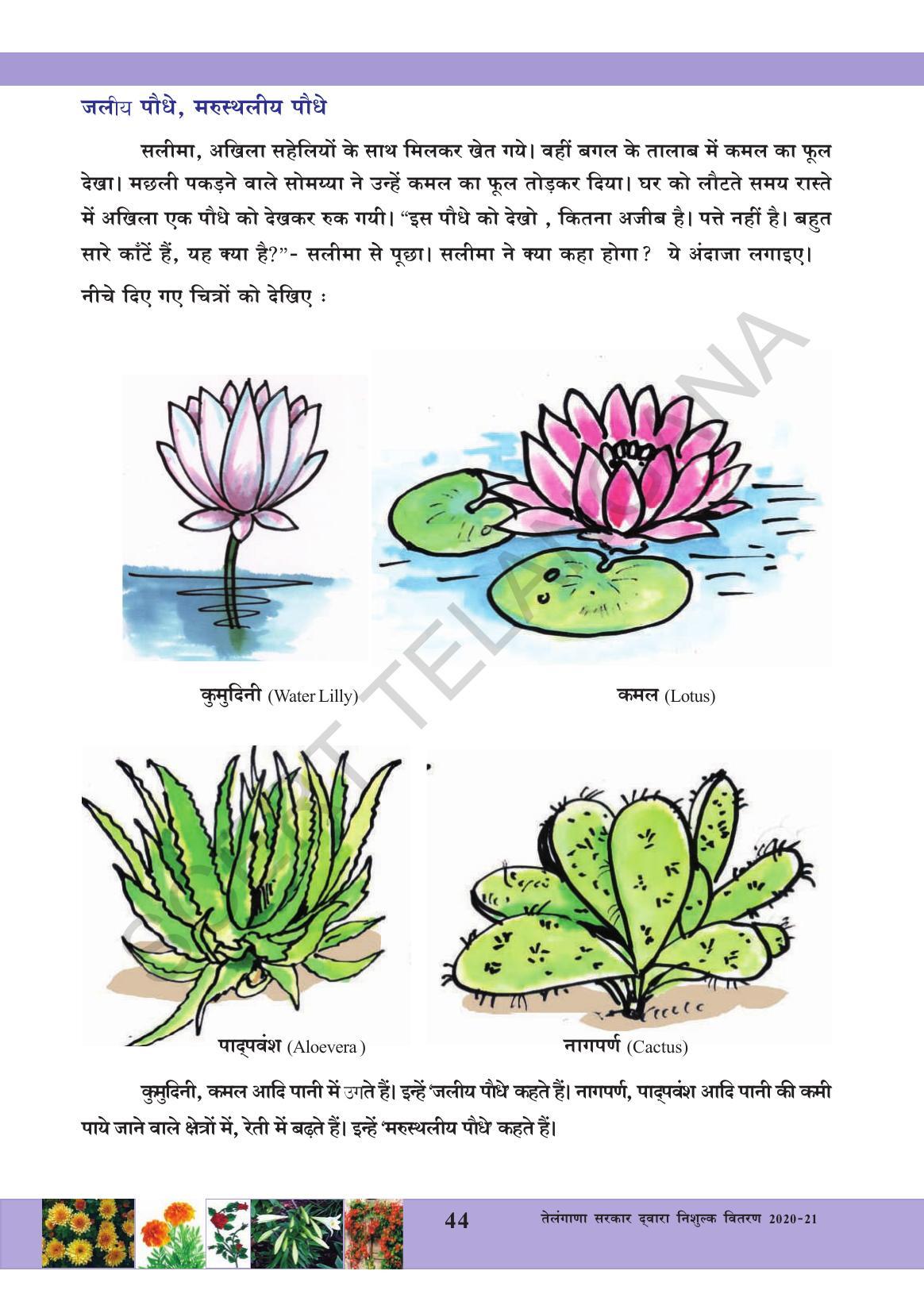 TS SCERT Class 3 Environmental Science (Hindi Medium) Text Book - Page 55