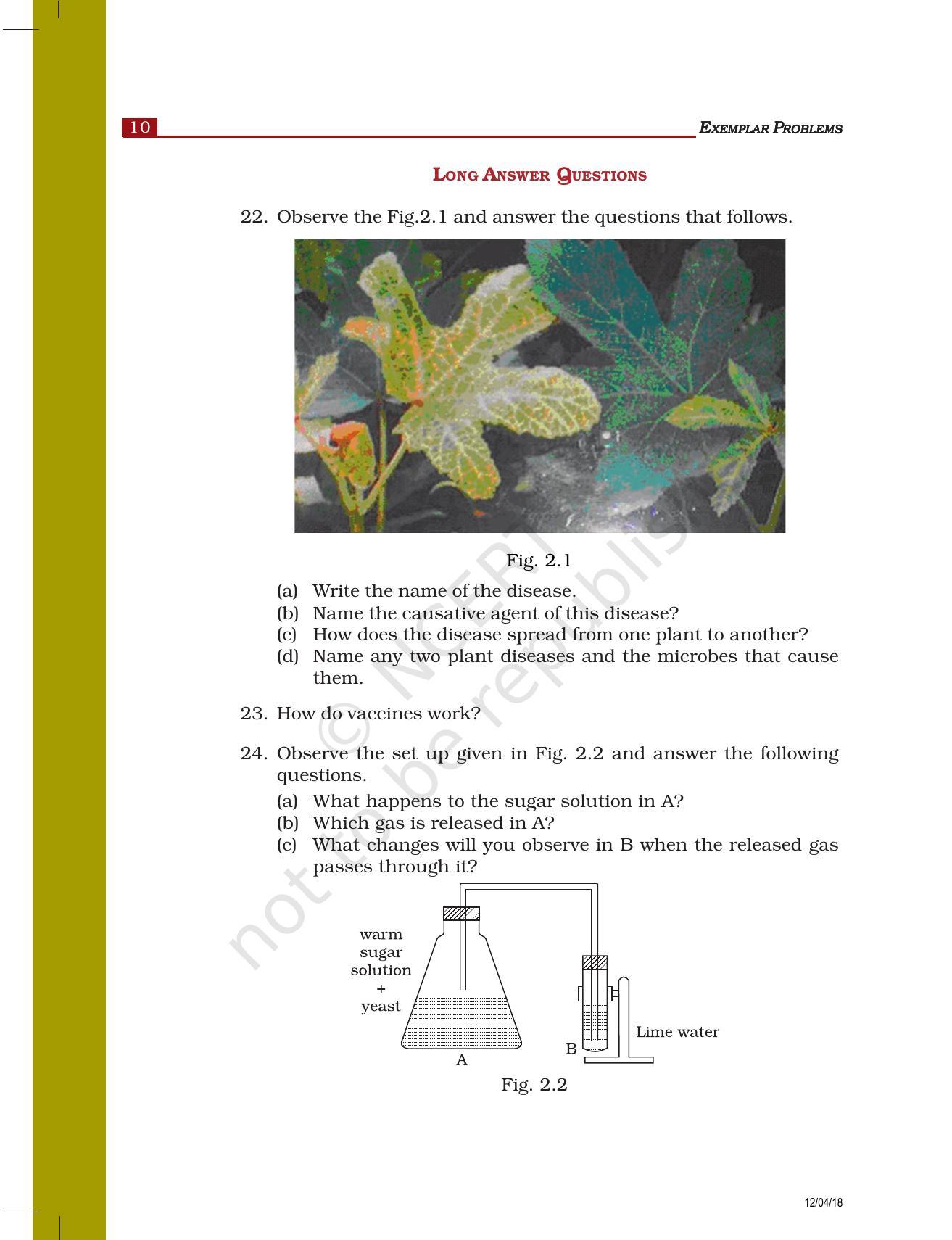NCERT Exemplar Book for Class 8 Science: Chapter 2- Microorganisms : Friend and Foe - Page 4