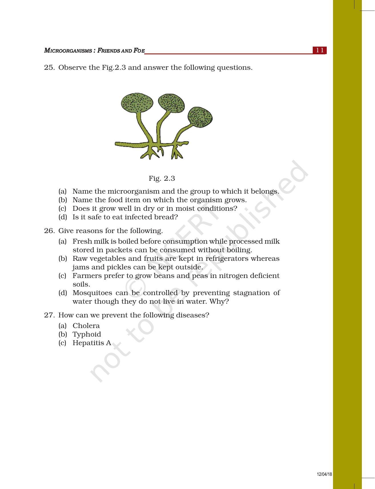 NCERT Exemplar Book for Class 8 Science: Chapter 2- Microorganisms : Friend and Foe - Page 5