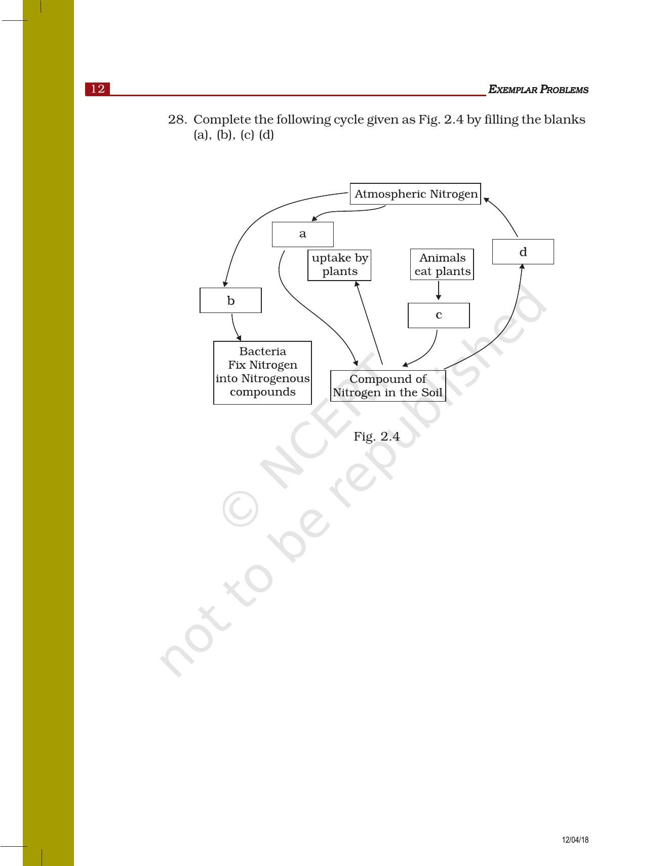 NCERT Exemplar Book for Class 8 Science: Chapter 2- Microorganisms : Friend and Foe - Page 6