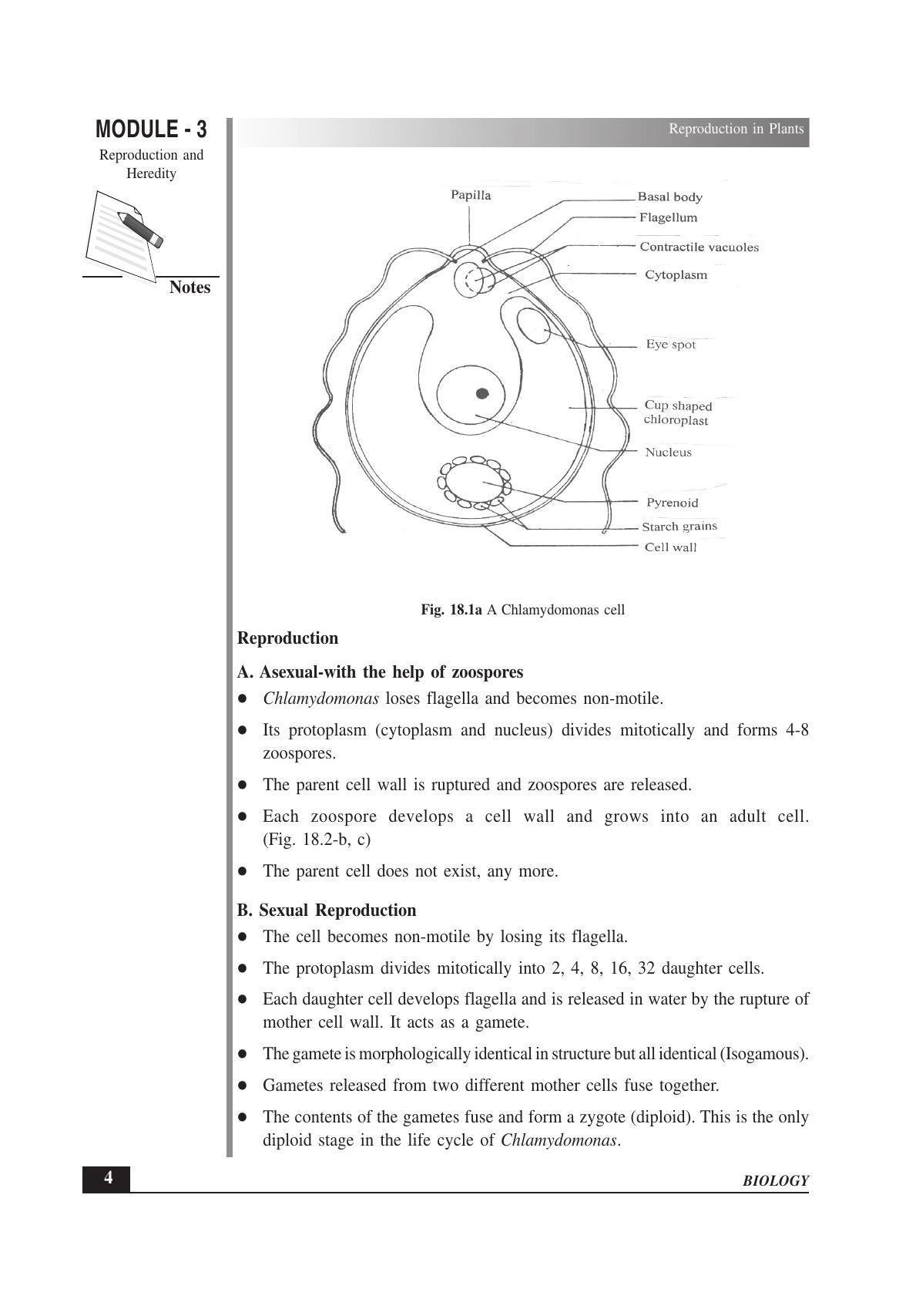 TS SCERT Inter 1st Year Biology Text Book Vol-II Path 1 (English Medium) Text Book - Page 18