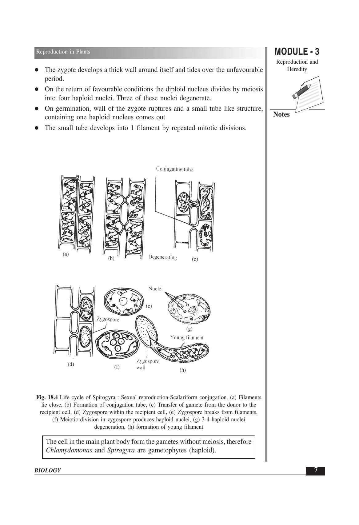 TS SCERT Inter 1st Year Biology Text Book Vol-II Path 1 (English Medium) Text Book - Page 21