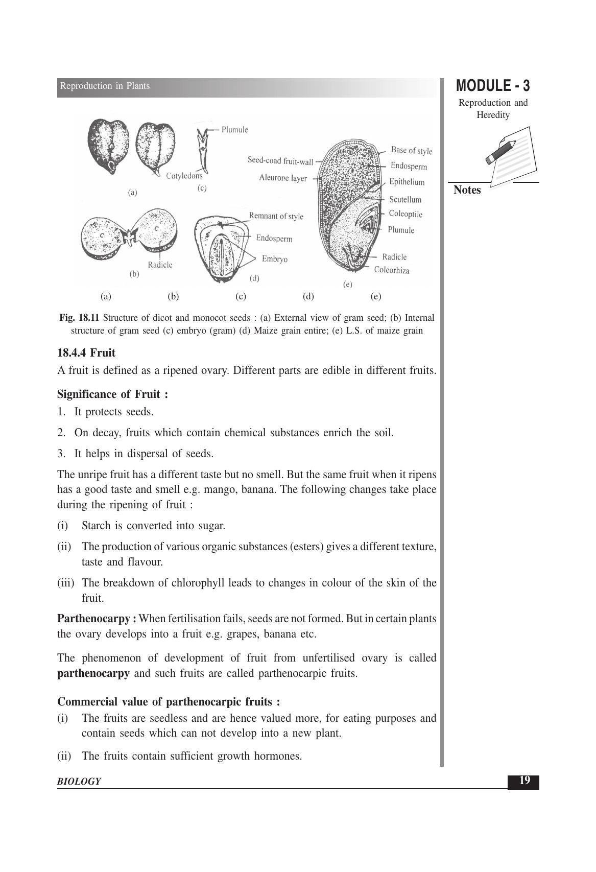 TS SCERT Inter 1st Year Biology Text Book Vol-II Path 1 (English Medium) Text Book - Page 33