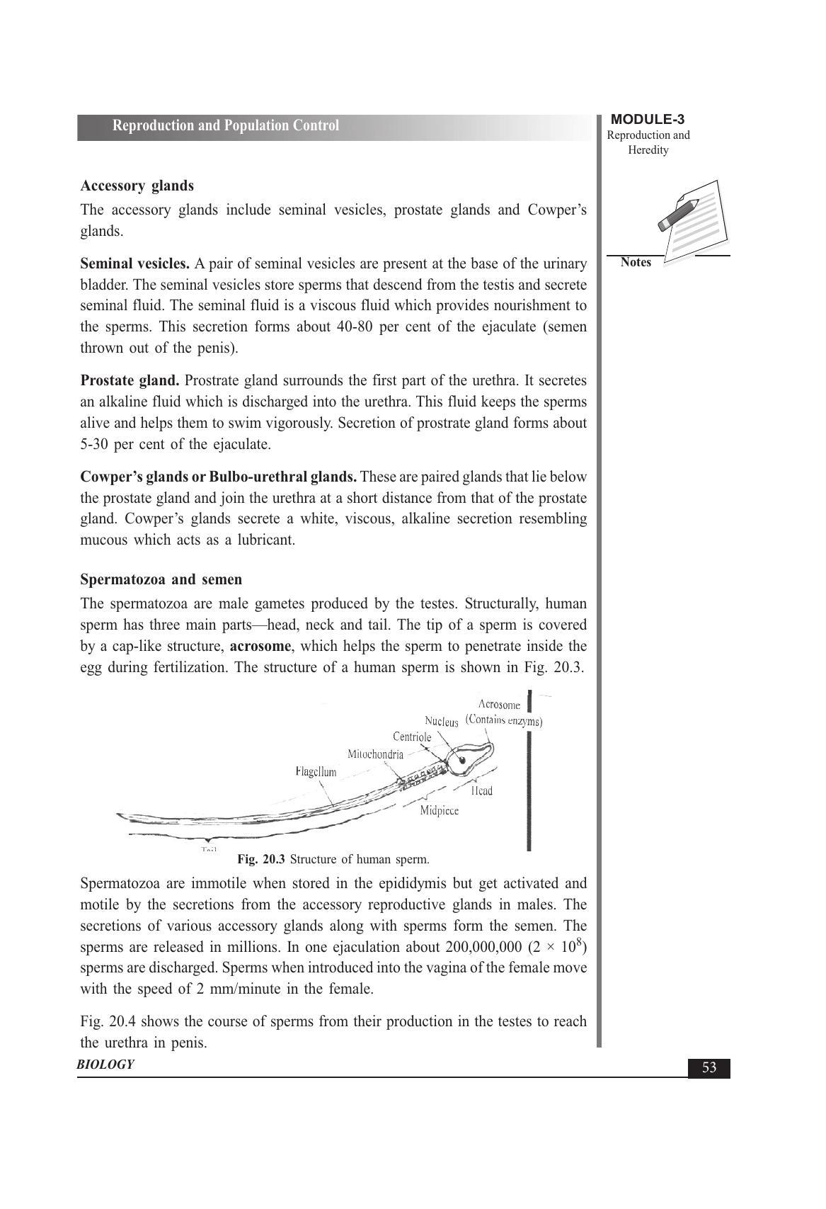 TS SCERT Inter 1st Year Biology Text Book Vol-II Path 1 (English Medium) Text Book - Page 67