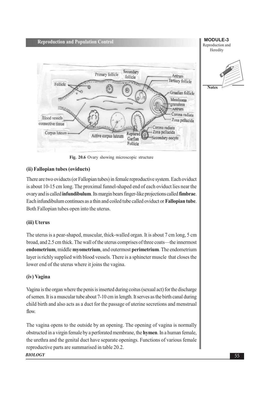 TS SCERT Inter 1st Year Biology Text Book Vol-II Path 1 (English Medium) Text Book - Page 69