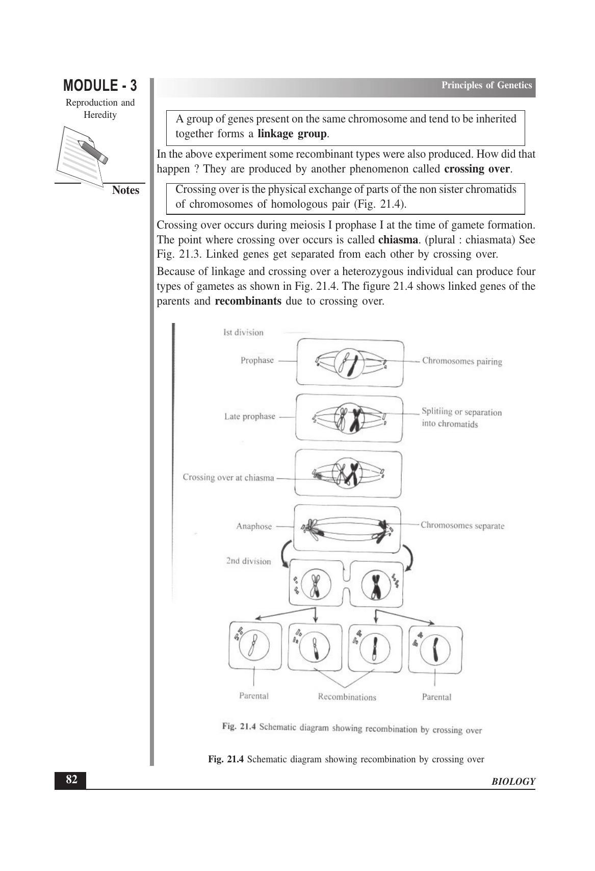 TS SCERT Inter 1st Year Biology Text Book Vol-II Path 1 (English Medium) Text Book - Page 96