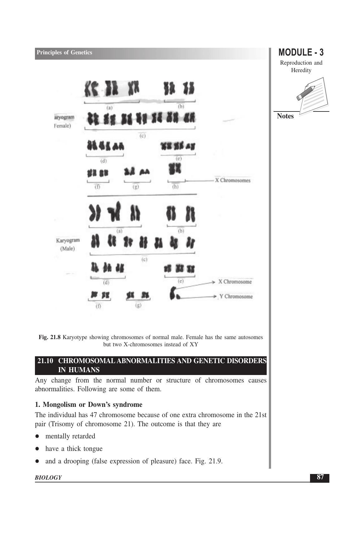 TS SCERT Inter 1st Year Biology Text Book Vol-II Path 1 (English Medium) Text Book - Page 101