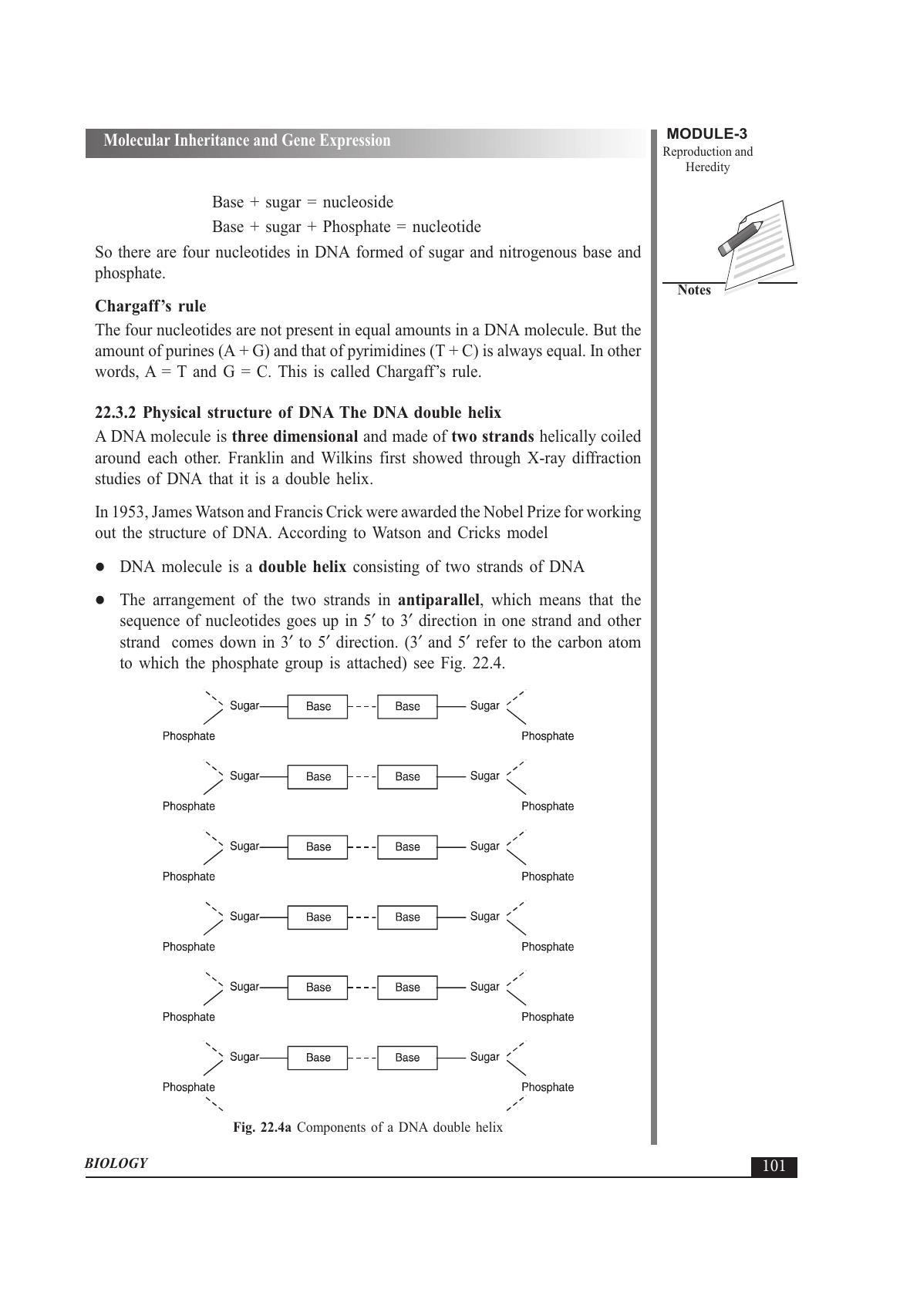 TS SCERT Inter 1st Year Biology Text Book Vol-II Path 1 (English Medium) Text Book - Page 115