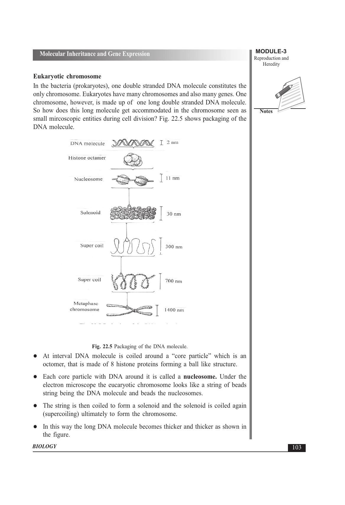 TS SCERT Inter 1st Year Biology Text Book Vol-II Path 1 (English Medium) Text Book - Page 117