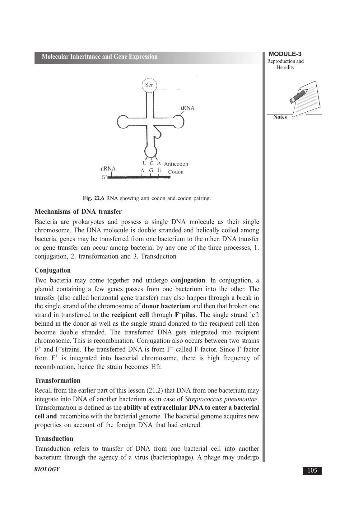 TS SCERT Inter 1st Year Biology Text Book Vol-II Path 1 (English Medium) Text Book - Page 119