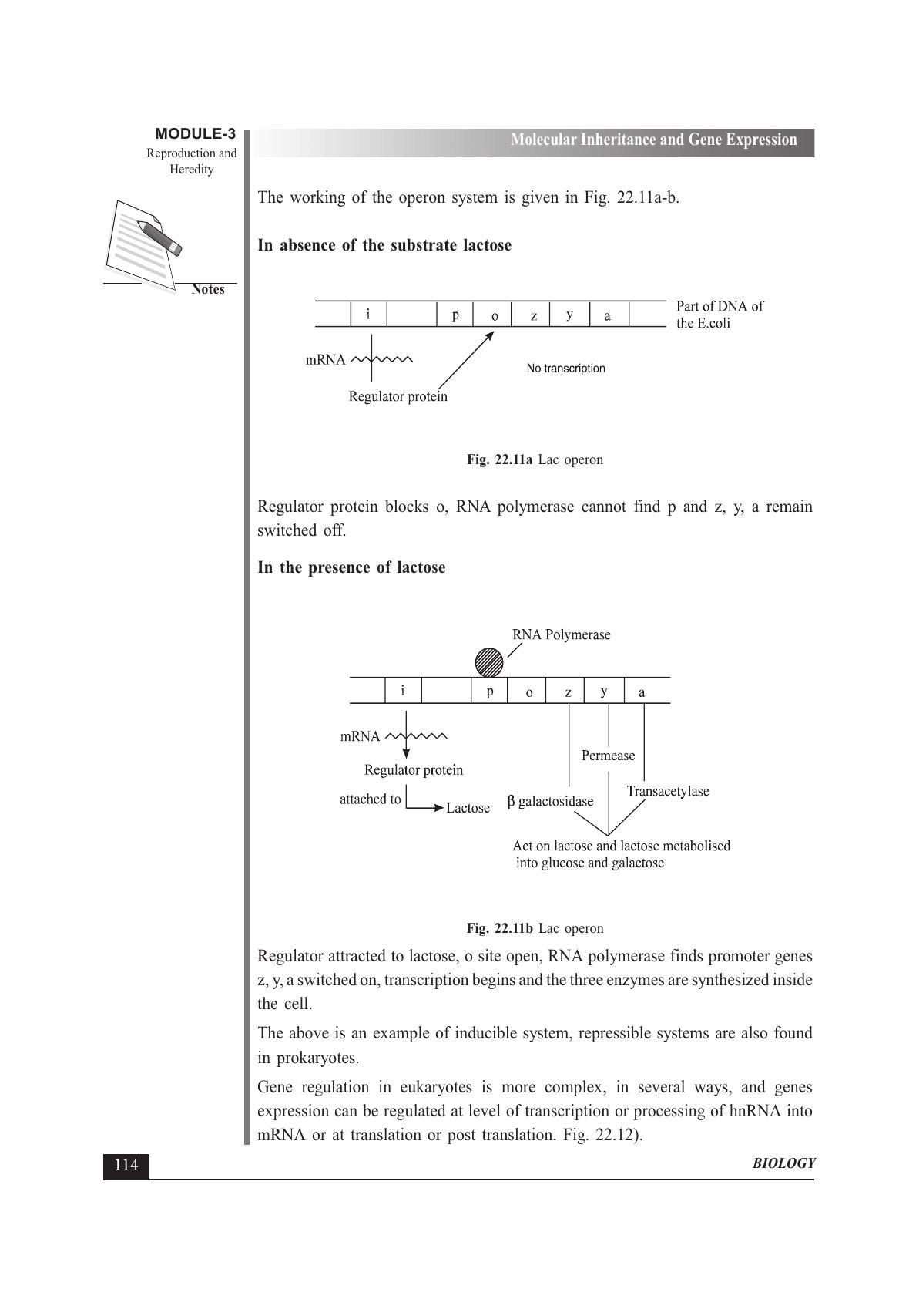 TS SCERT Inter 1st Year Biology Text Book Vol-II Path 1 (English Medium) Text Book - Page 128