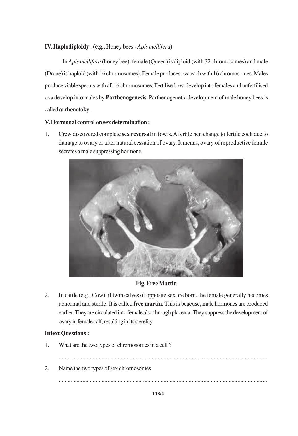 TS SCERT Inter 1st Year Biology Text Book Vol-II Path 1 (English Medium) Text Book - Page 136