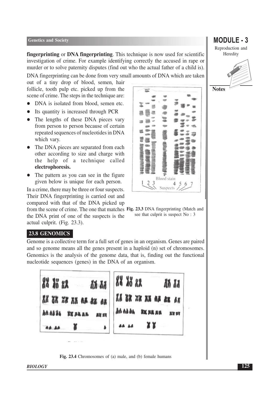 TS SCERT Inter 1st Year Biology Text Book Vol-II Path 1 (English Medium) Text Book - Page 145