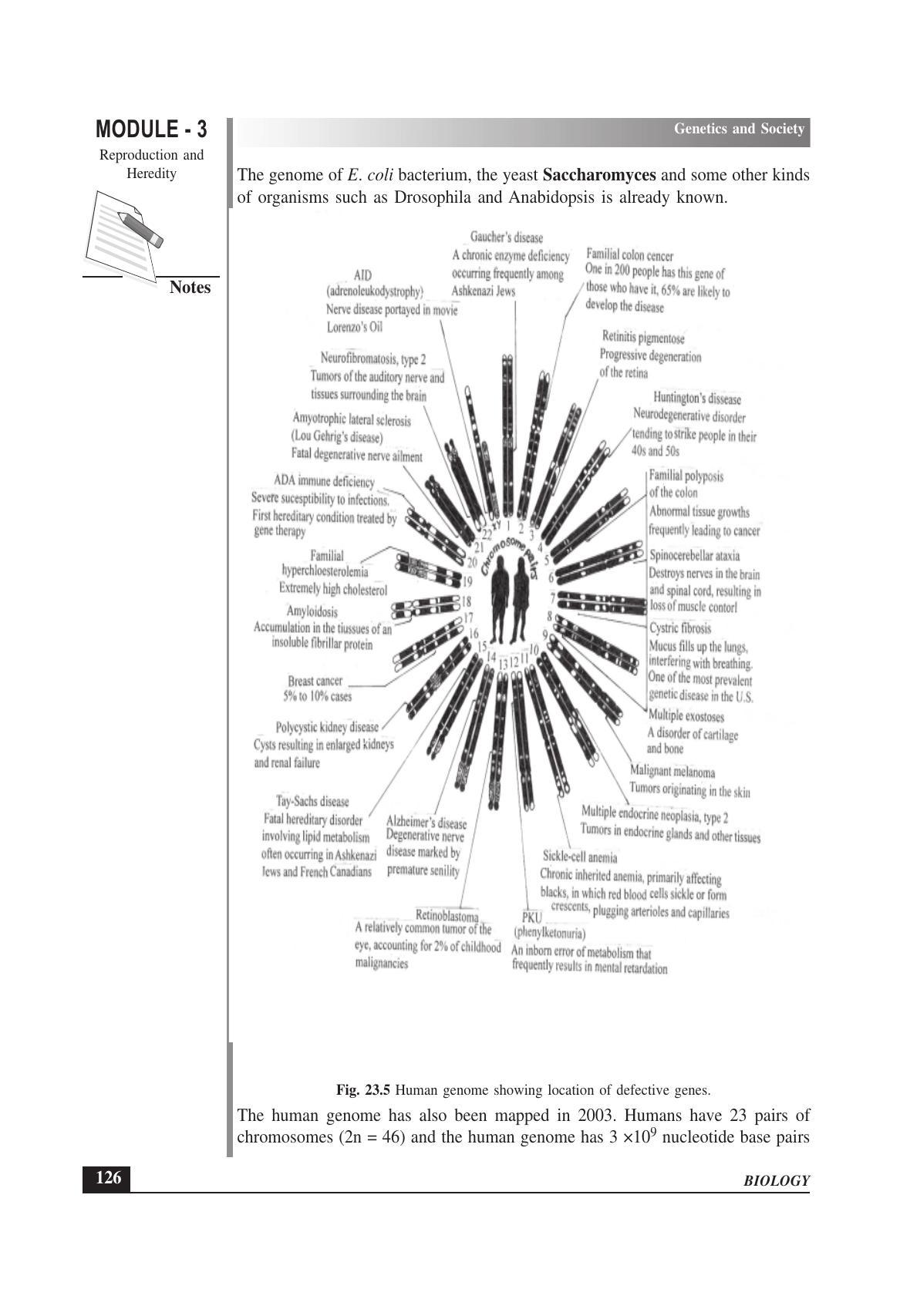 TS SCERT Inter 1st Year Biology Text Book Vol-II Path 1 (English Medium) Text Book - Page 146