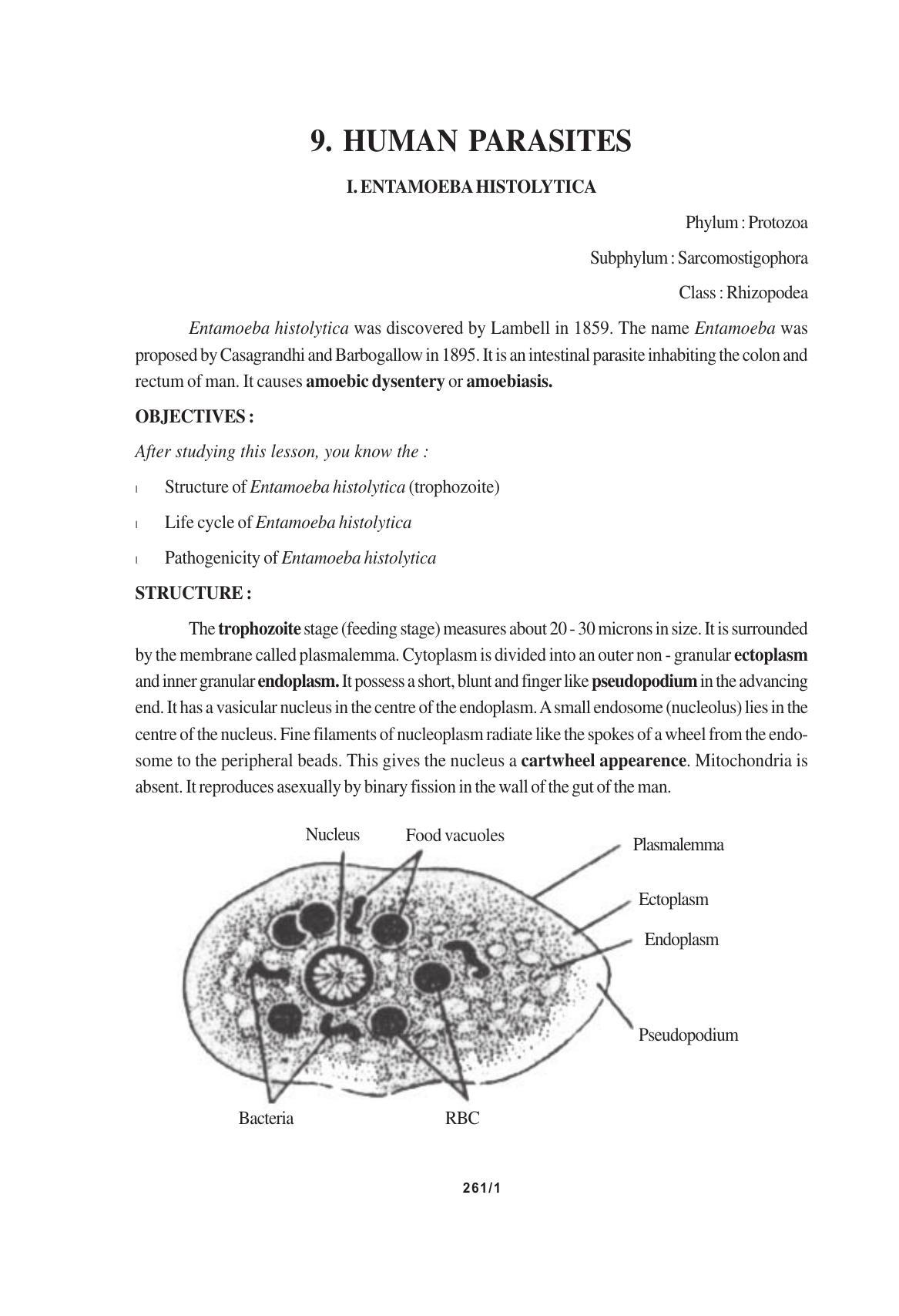 TS SCERT Inter 1st Year Biology Text Book Vol-II Path 1 (English Medium) Text Book - Page 282