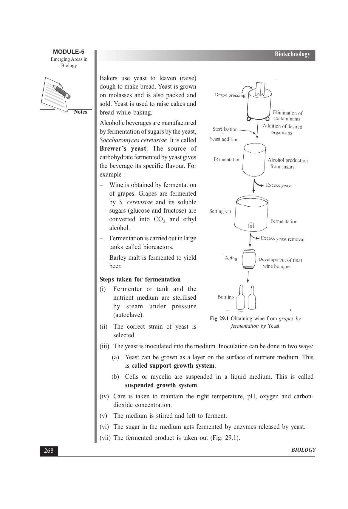 TS SCERT Inter 1st Year Biology Text Book Vol-II Path 1 (English Medium) Text Book - Page 292