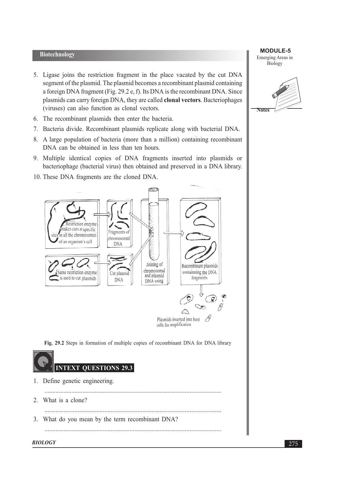 TS SCERT Inter 1st Year Biology Text Book Vol-II Path 1 (English Medium) Text Book - Page 299