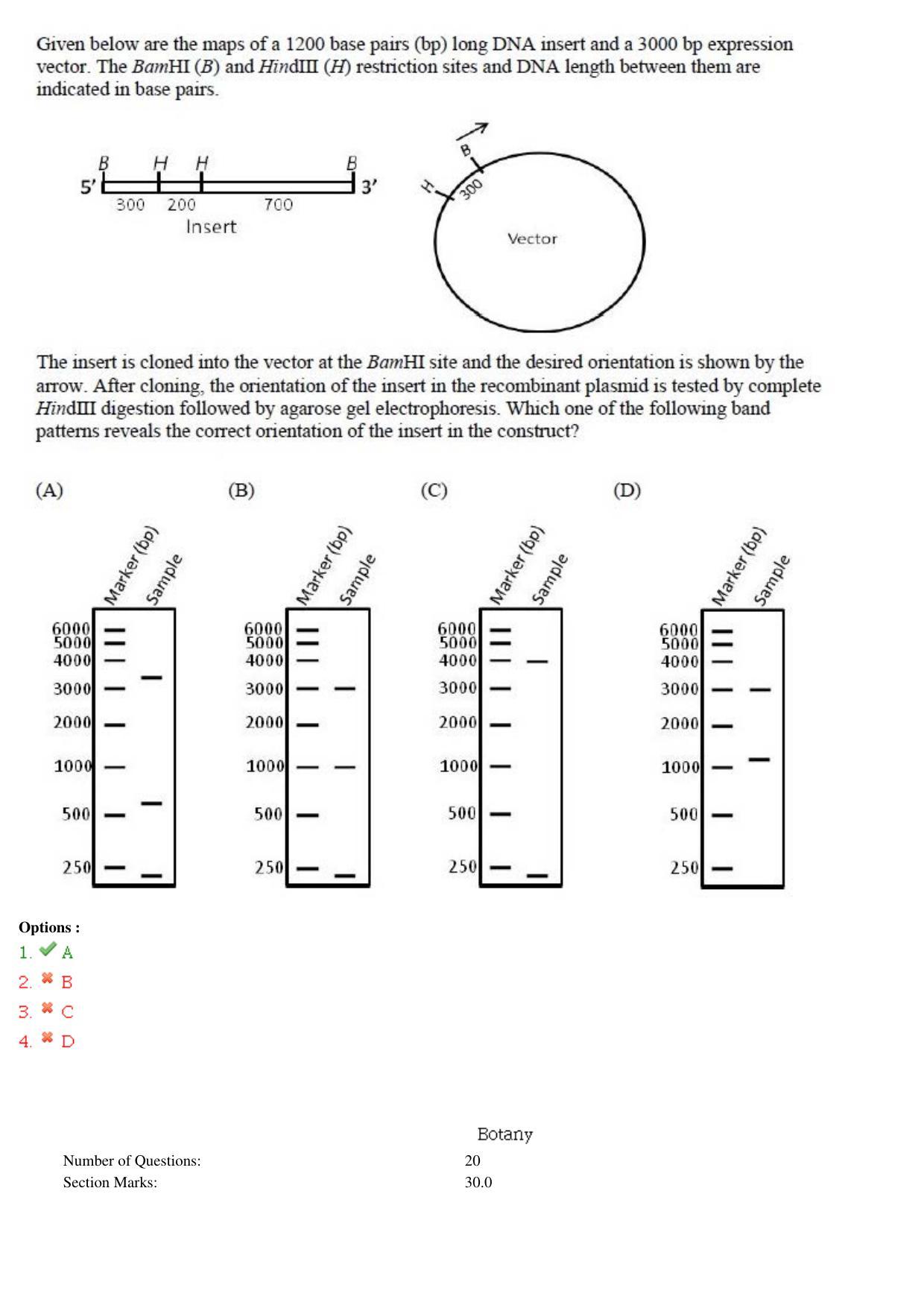 GATE 2015 Life Sciences (XL) Question Paper with Answer Key - Page 17