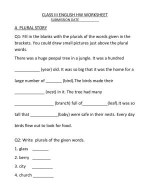 Worksheet for Class 3 English A Plural Story Assignment