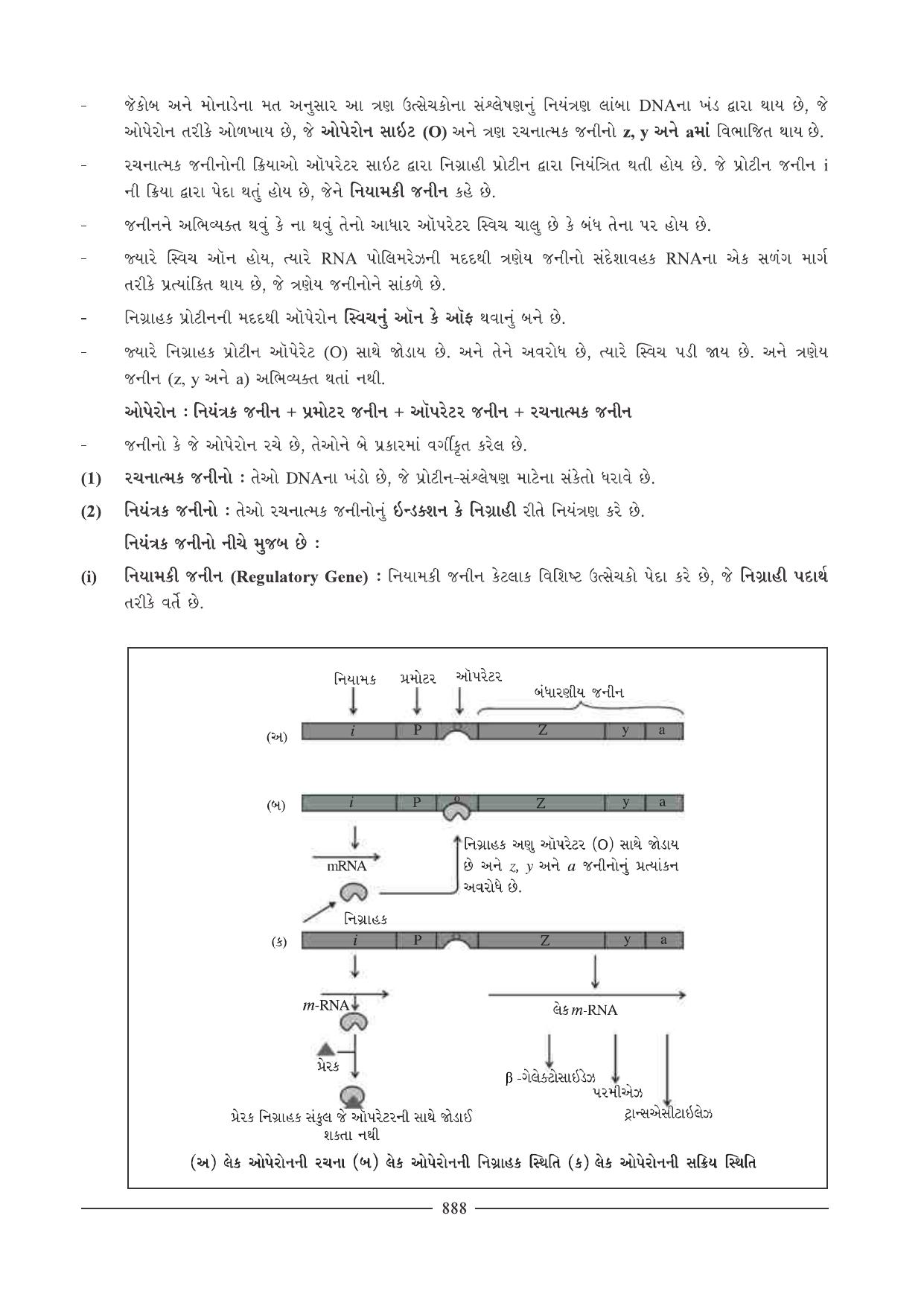 GSEB HSC Biology Question Paper (Gujarati Medium)- Chapter 39 - Page 16