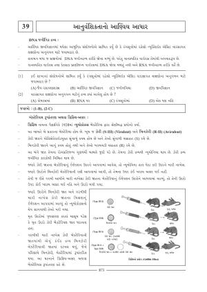 GSEB HSC Biology Question Paper (Gujarati Medium)- Chapter 39