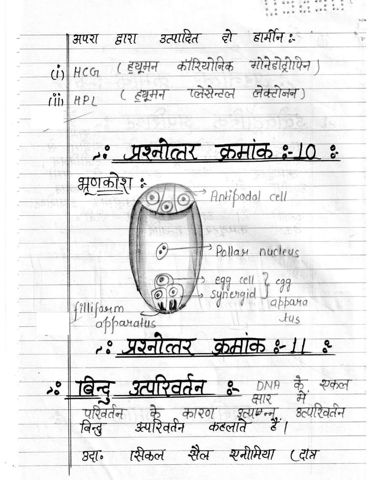 UBSE Class 12 Biology 2020 Toppers Answer Sheet - Page 5
