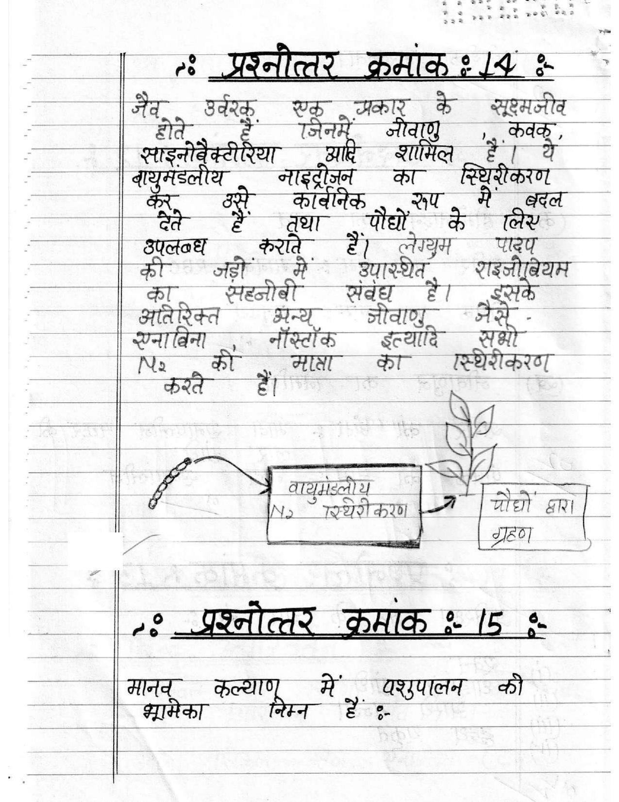 UBSE Class 12 Biology 2020 Toppers Answer Sheet - Page 7
