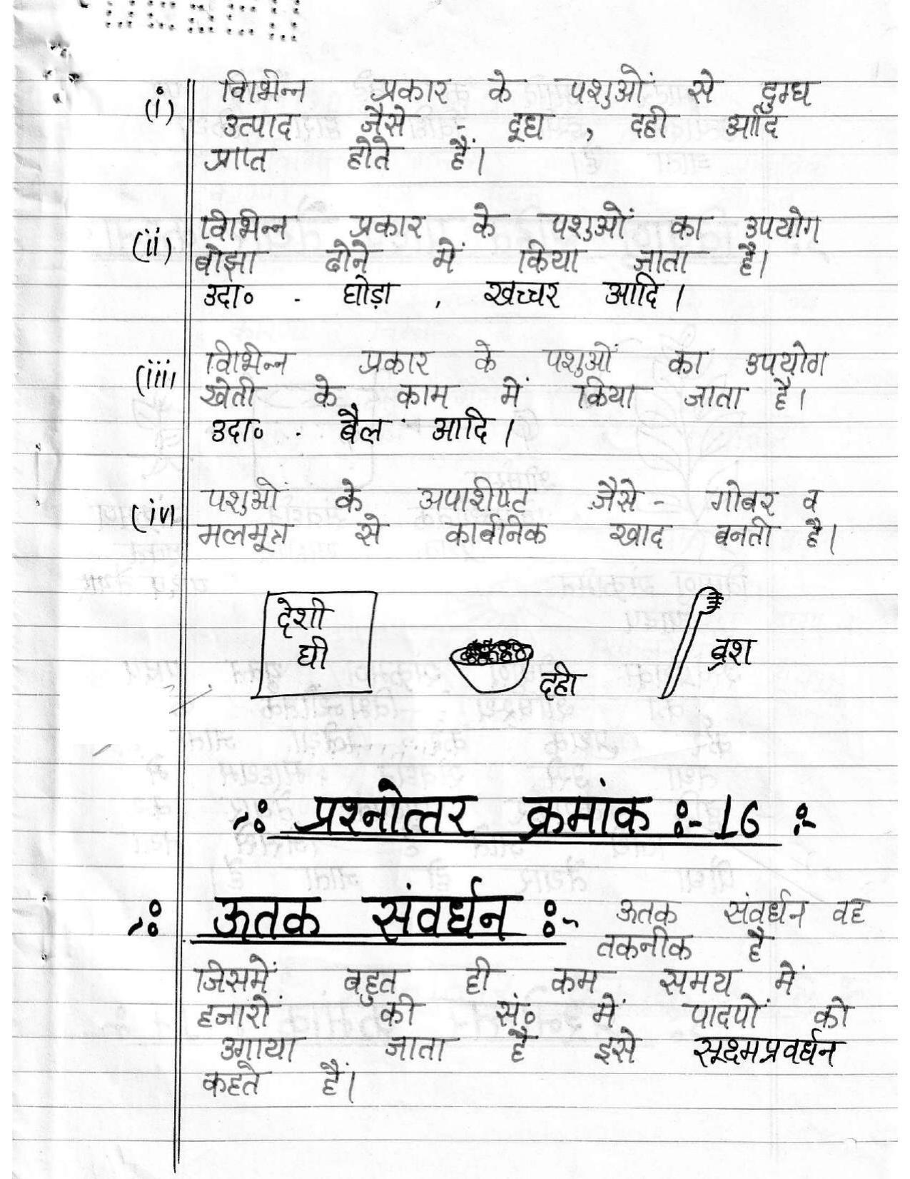 UBSE Class 12 Biology 2020 Toppers Answer Sheet - Page 8