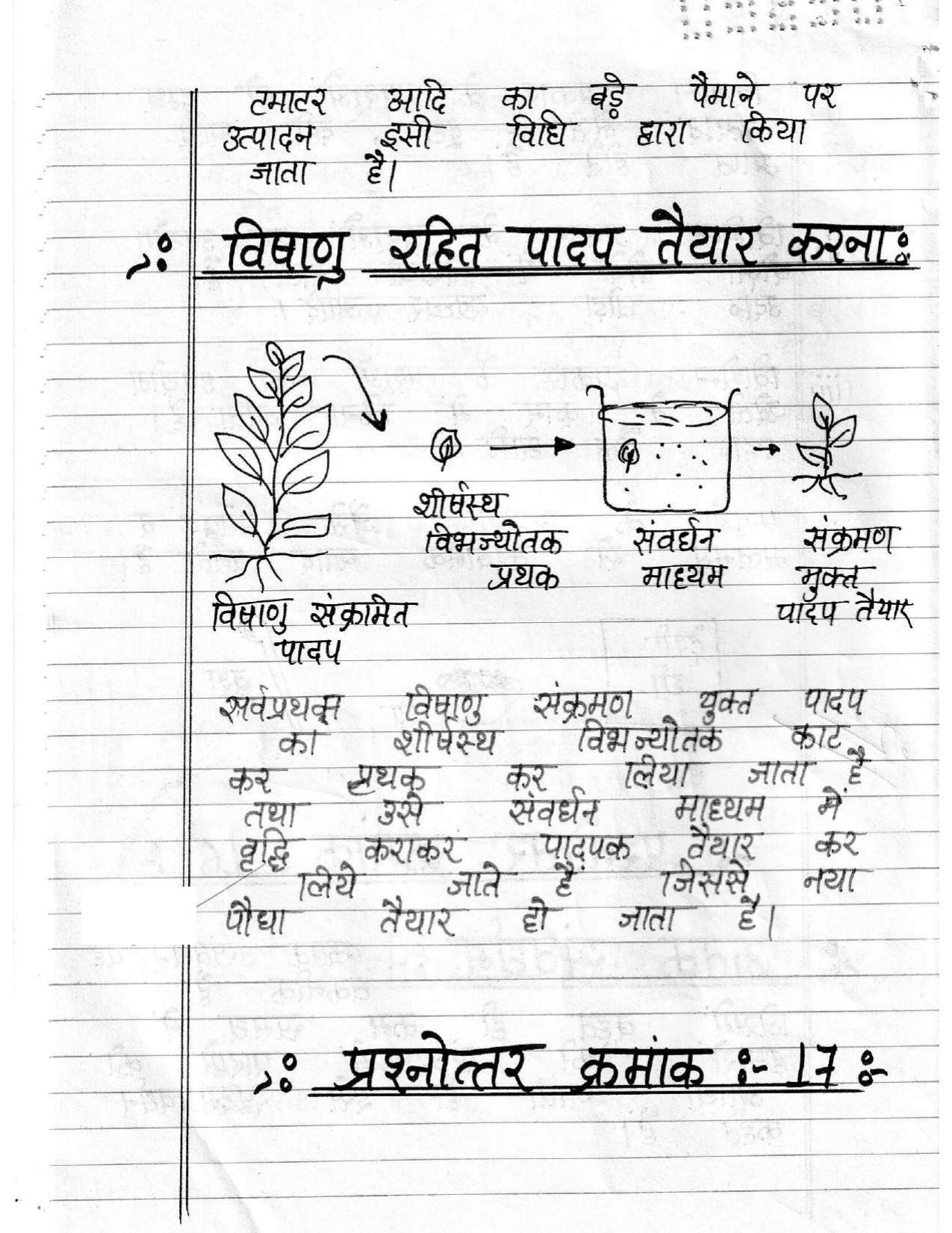 UBSE Class 12 Biology 2020 Toppers Answer Sheet - Page 9