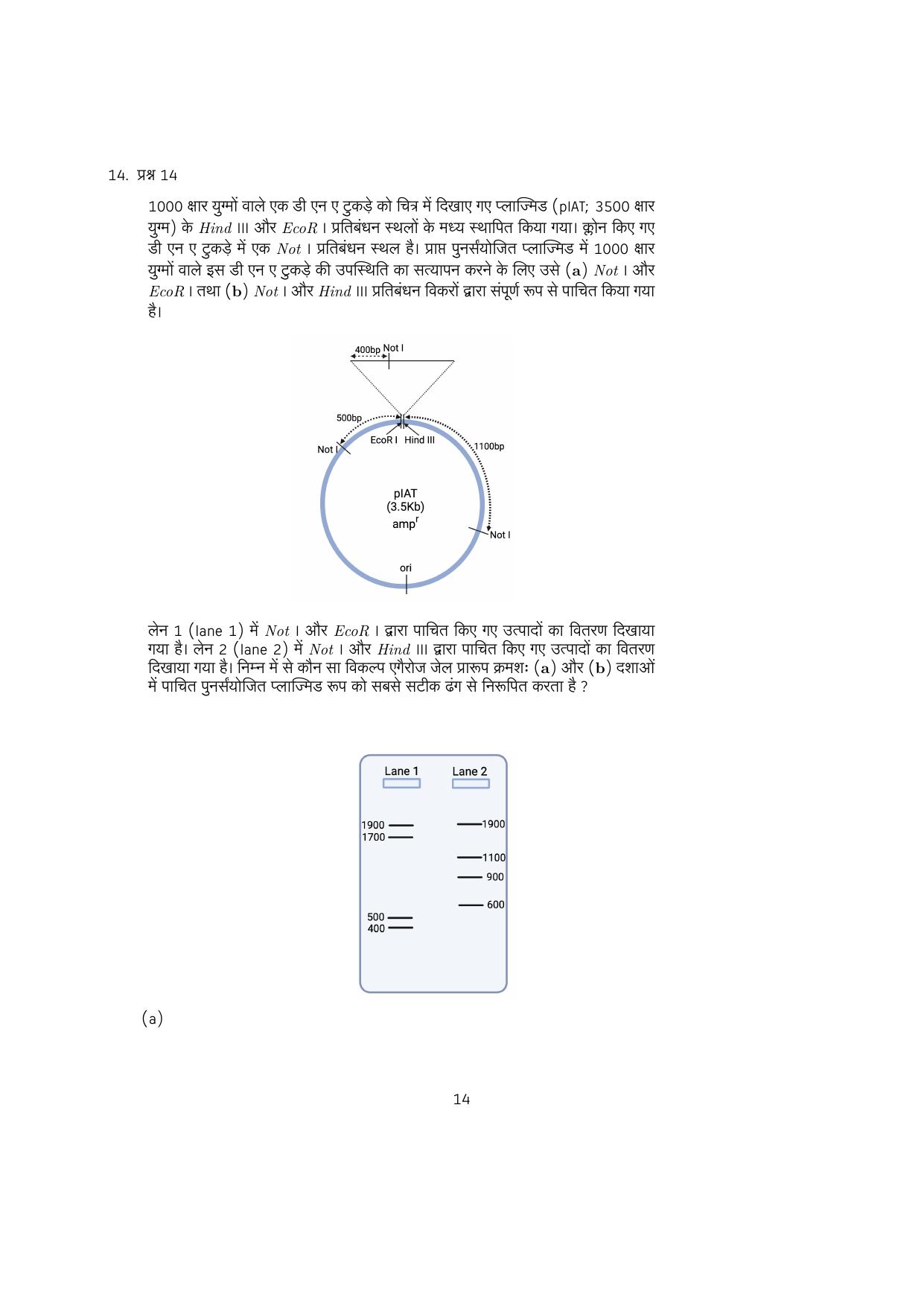 IISER Aptitude Test 2023 Hindi Question Paper - Page 14