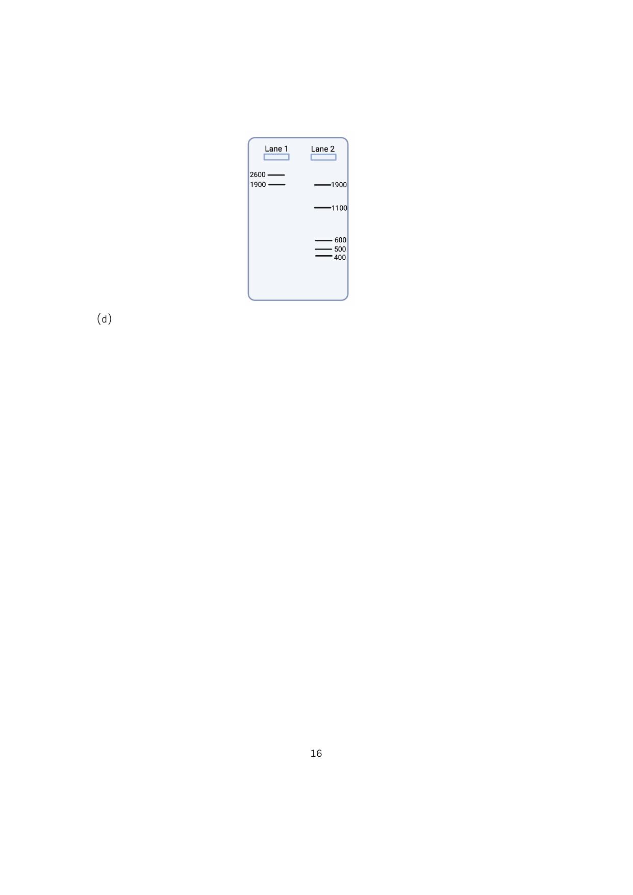 IISER Aptitude Test 2023 Hindi Question Paper - Page 16