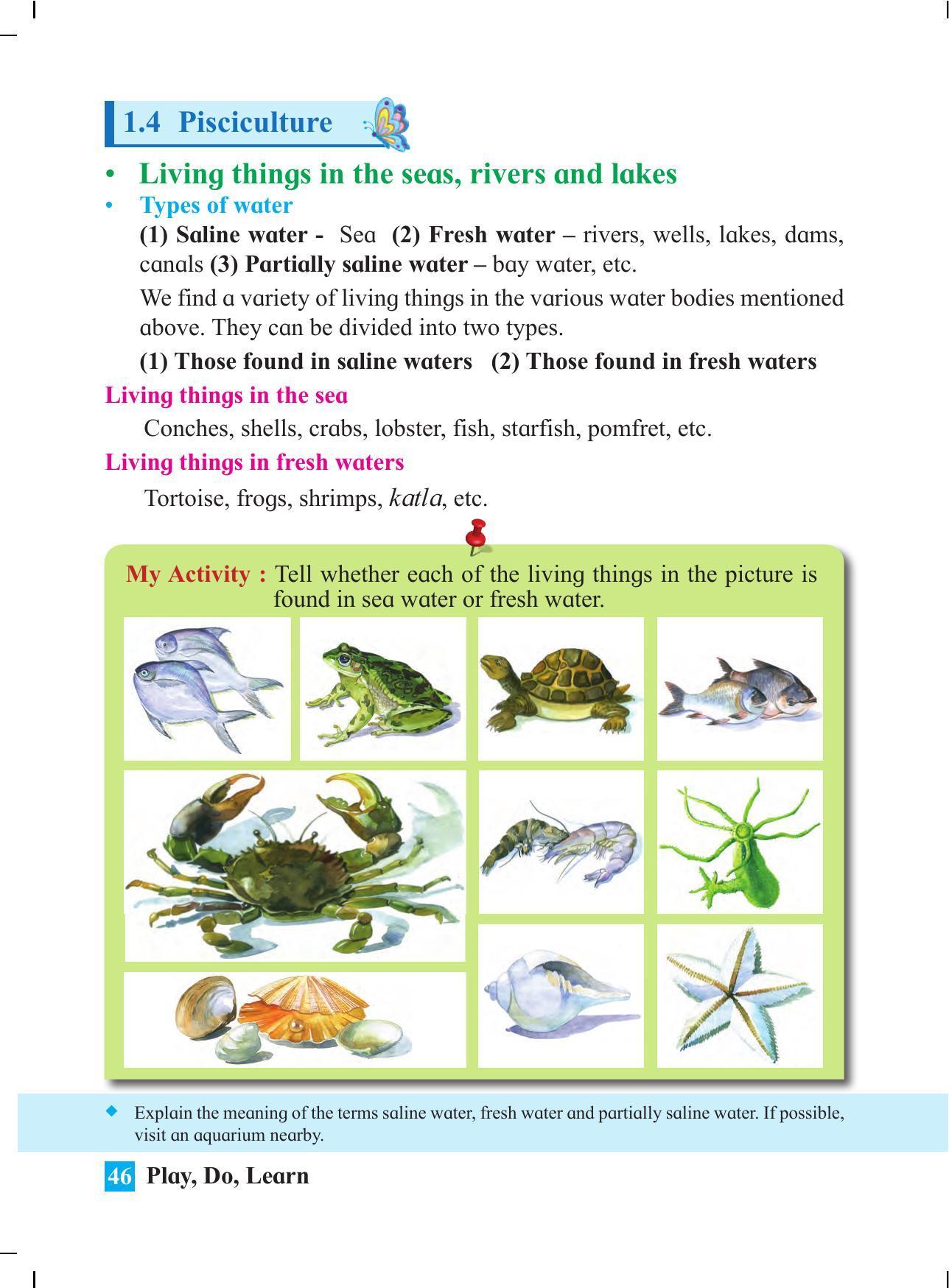 Maharashtra Board Class 4 Play Do Learn (English Medium) Textbook - Page 55