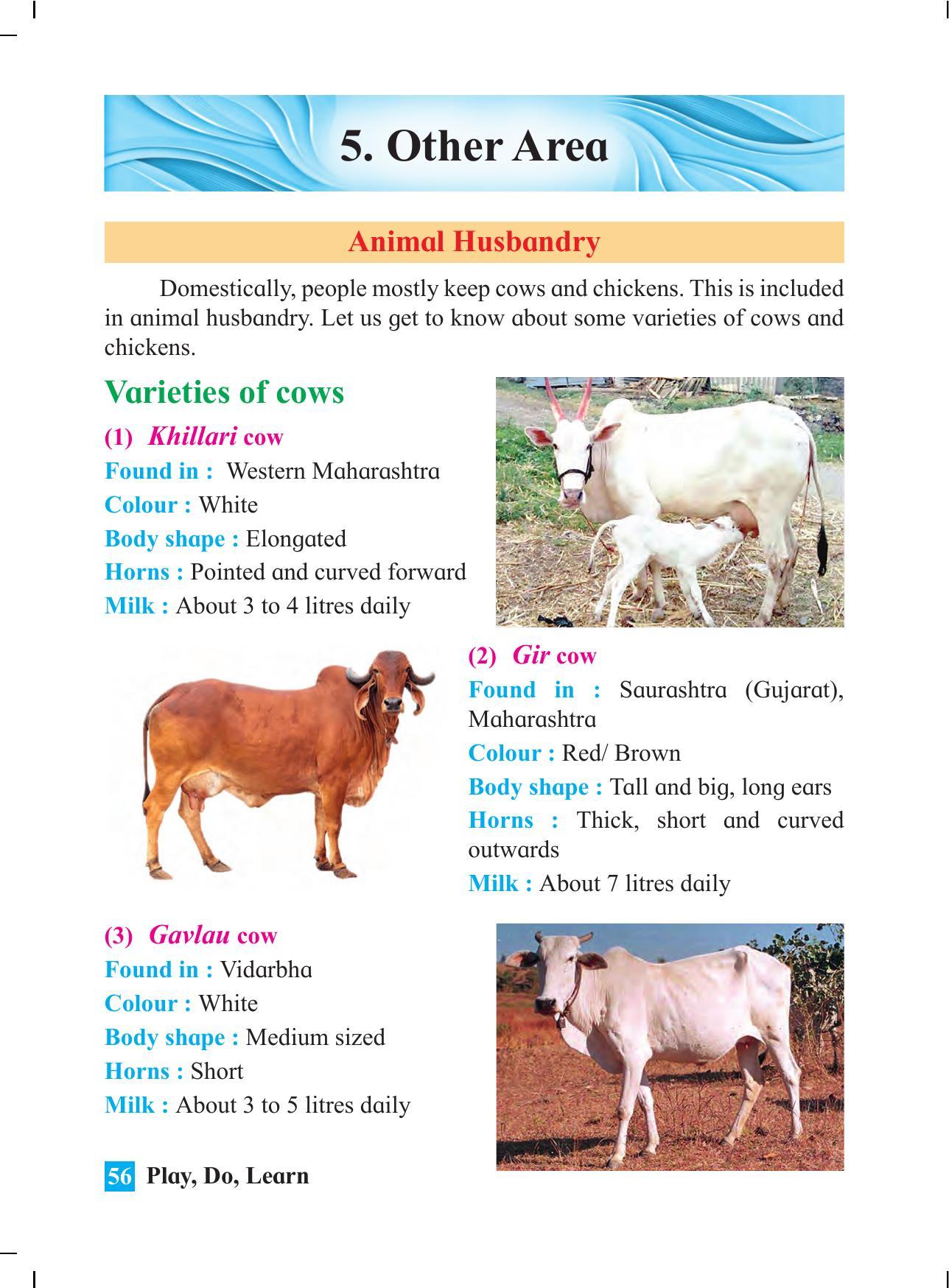 Maharashtra Board Class 4 Play Do Learn (English Medium) Textbook - Page 65
