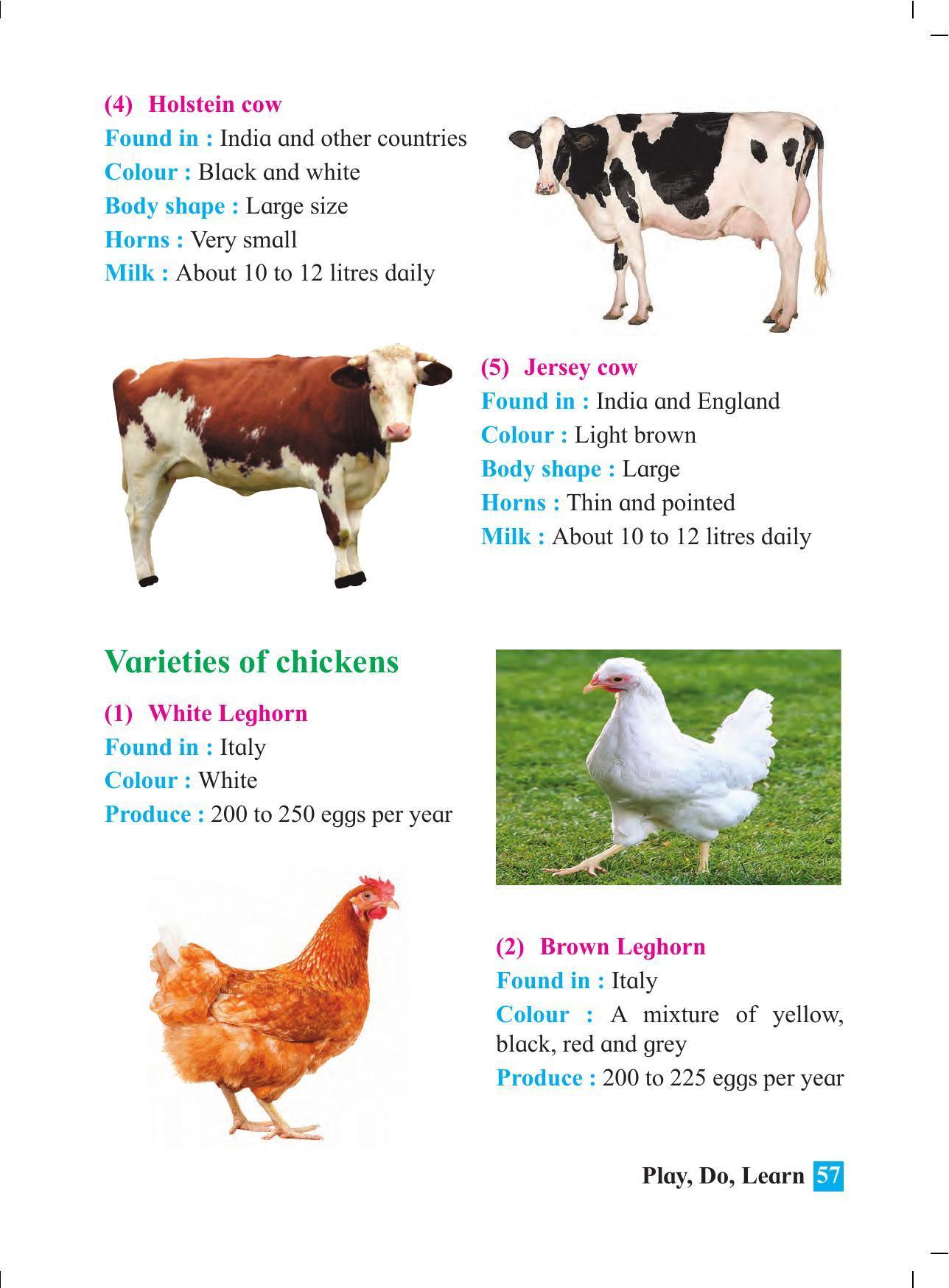 Maharashtra Board Class 4 Play Do Learn (English Medium) Textbook - Page 66