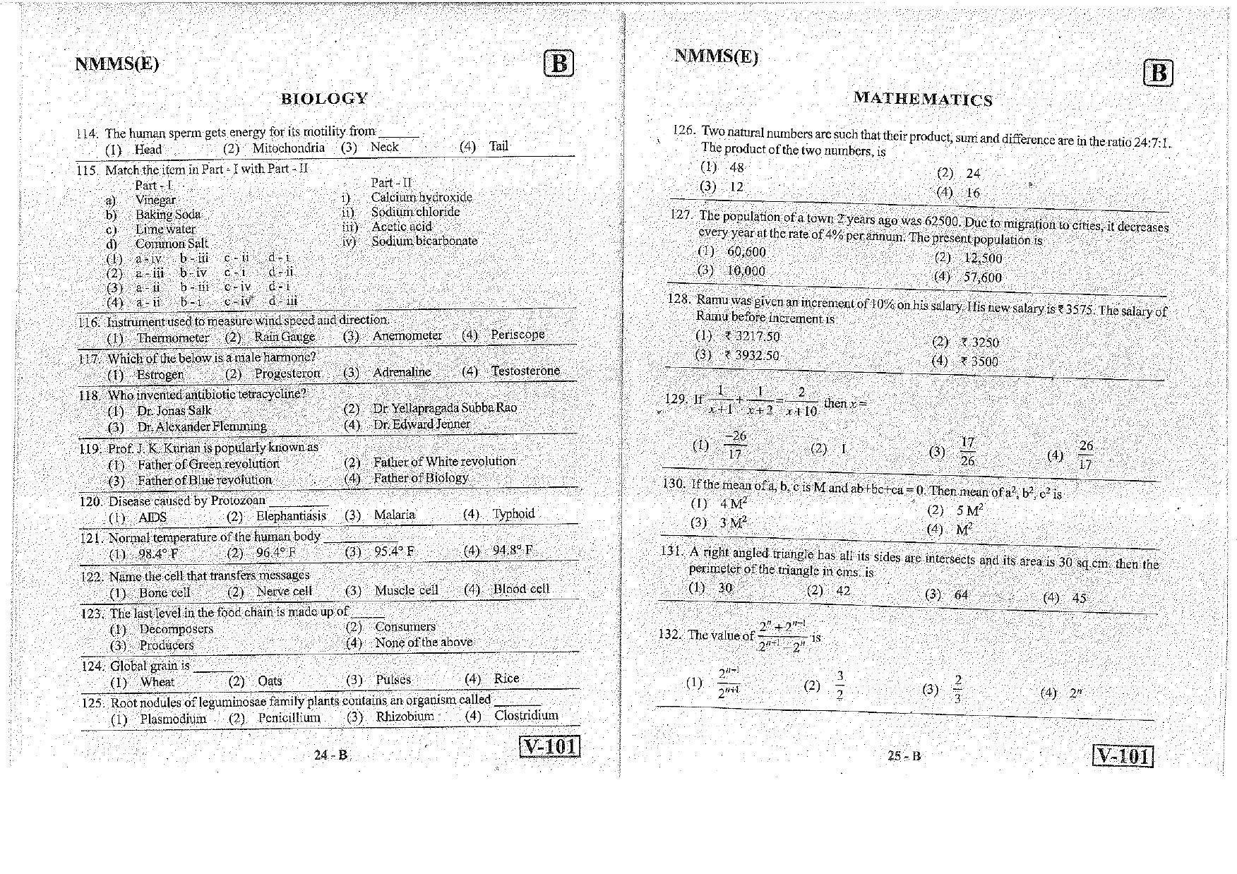 MAT - SAT English Nov 2018 (Set B) Class 8 Andhra Pradesh NMMS Question Papers - Page 13