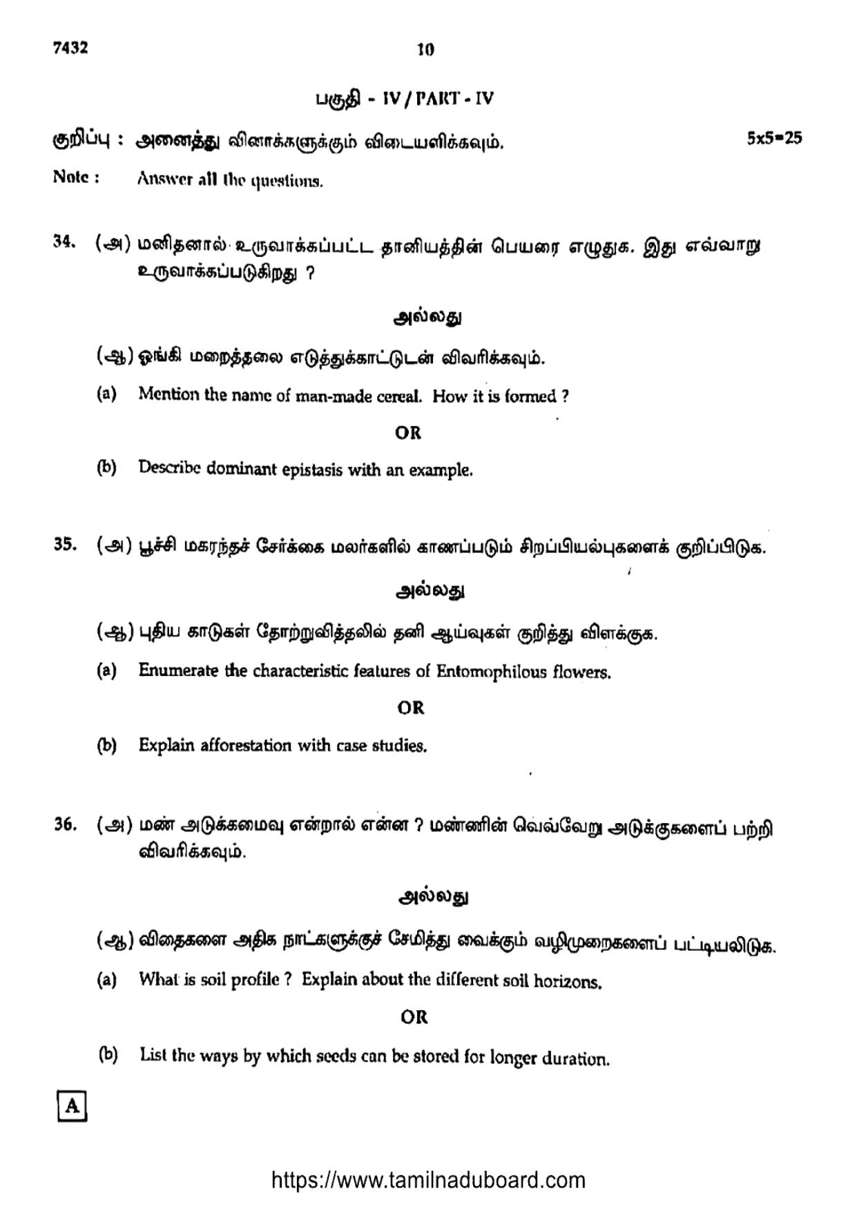 TN Class 12 2024 Botany Set A Question Papers - Page 10