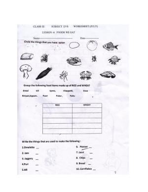 Worksheet for Class 3 EVS Assignment 20 Food We Eat
