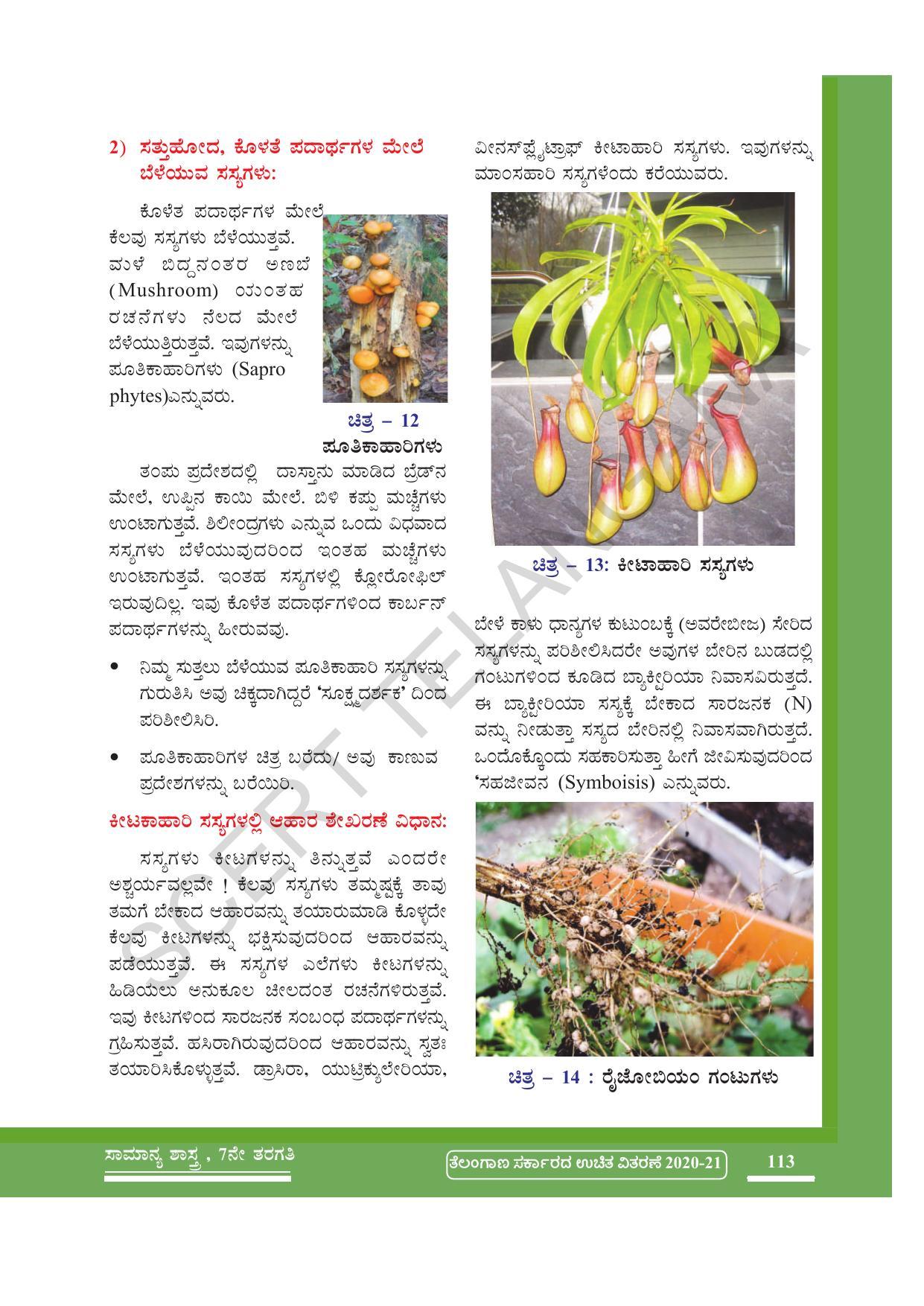 TS SCERT Class 7 General Science (Kannada Medium) Text Book - Page 127