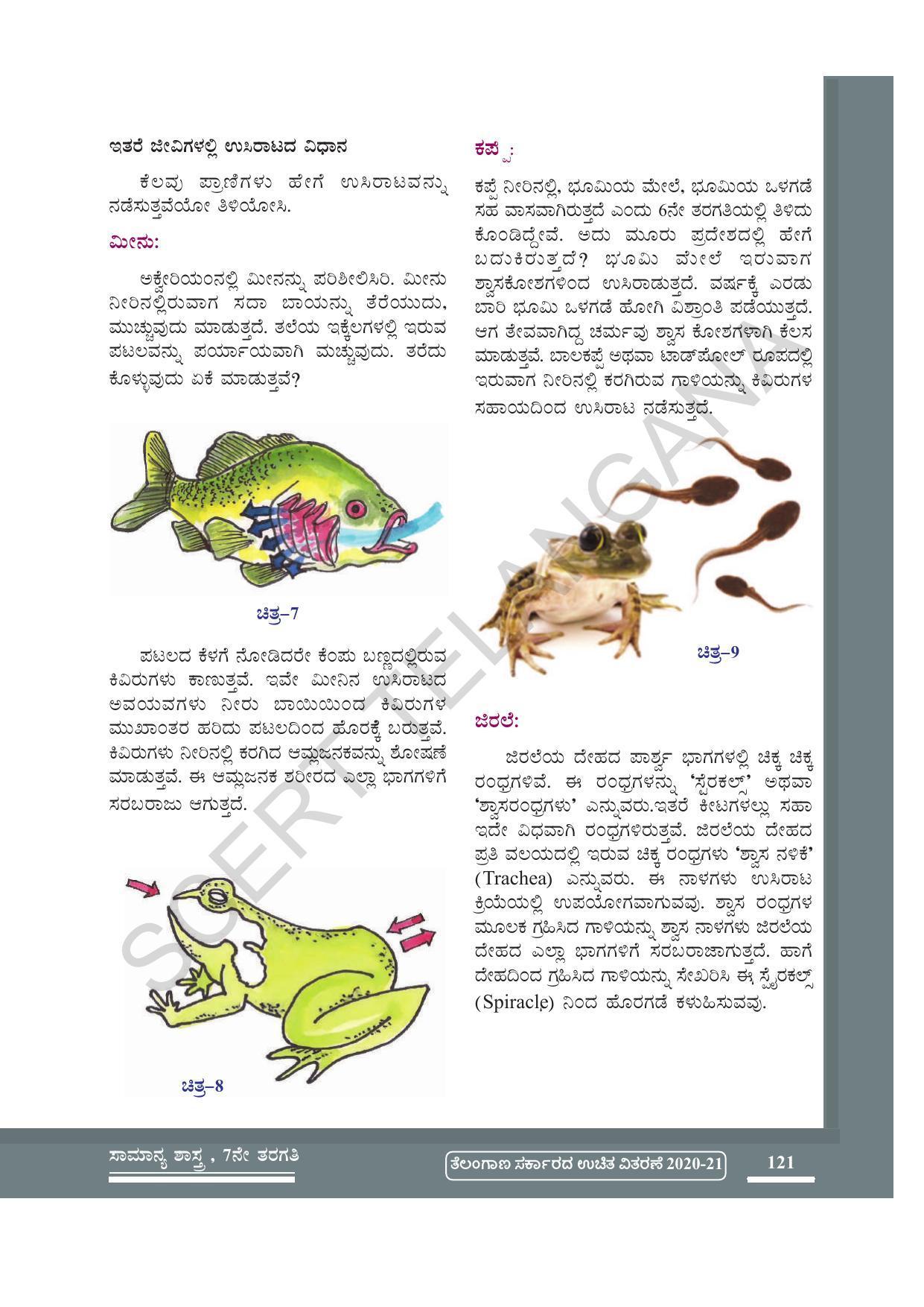 TS SCERT Class 7 General Science (Kannada Medium) Text Book - Page 135