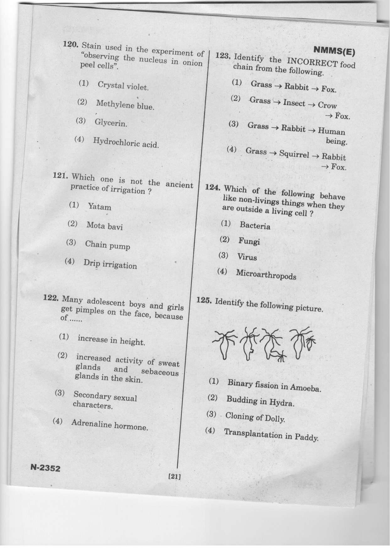 Telangana NMMS Dec 2022 English Question Paper - Page 19